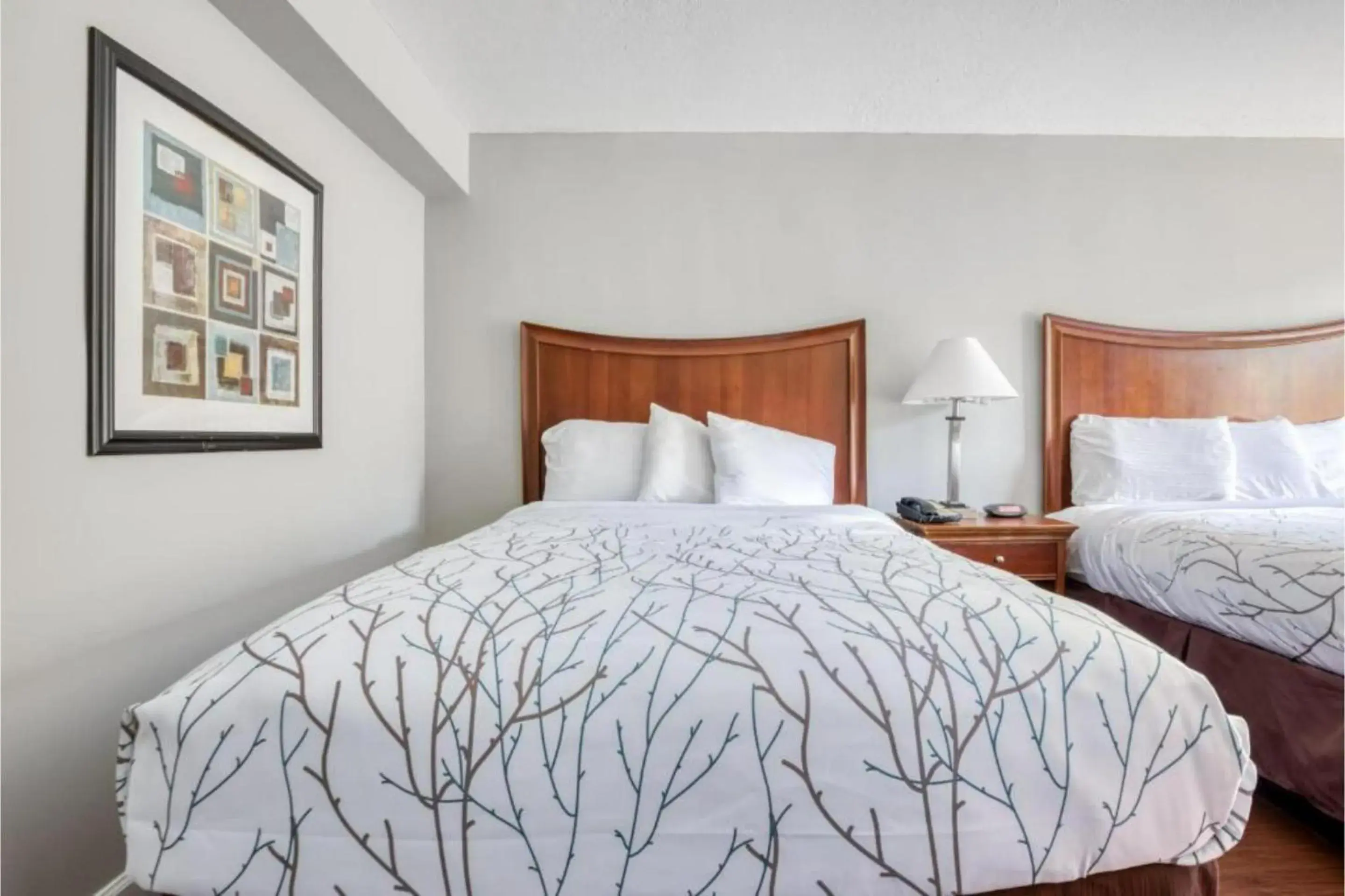 Premium 2 Queen Beds in OYO Hotel Memphis TN I-40 Premium 2 Queen Beds in OYO Hotel Memphis TN I-40