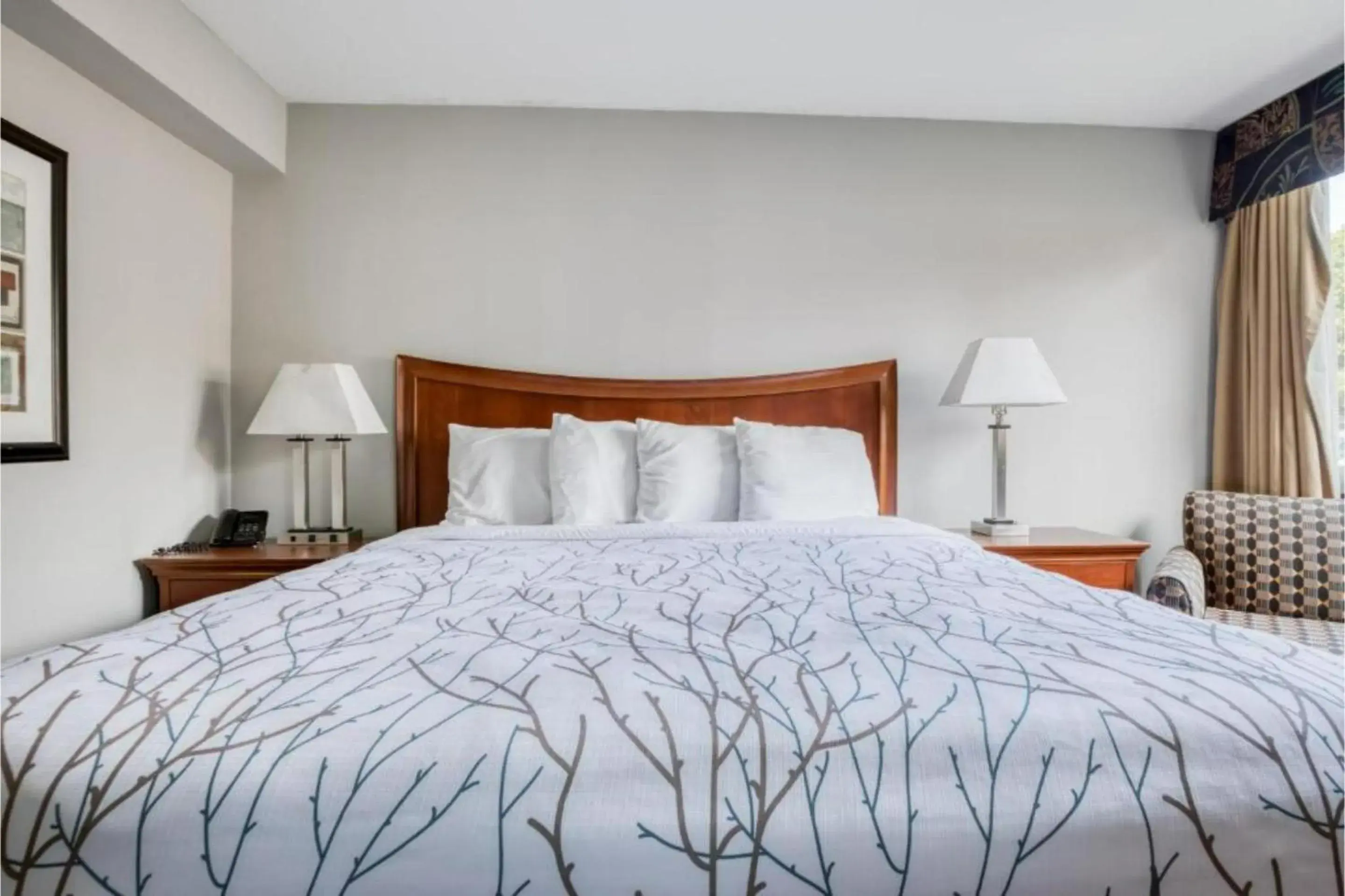 Premium King Bed in OYO Hotel Memphis TN I-40 Premium King Bed in OYO Hotel Memphis TN I-40