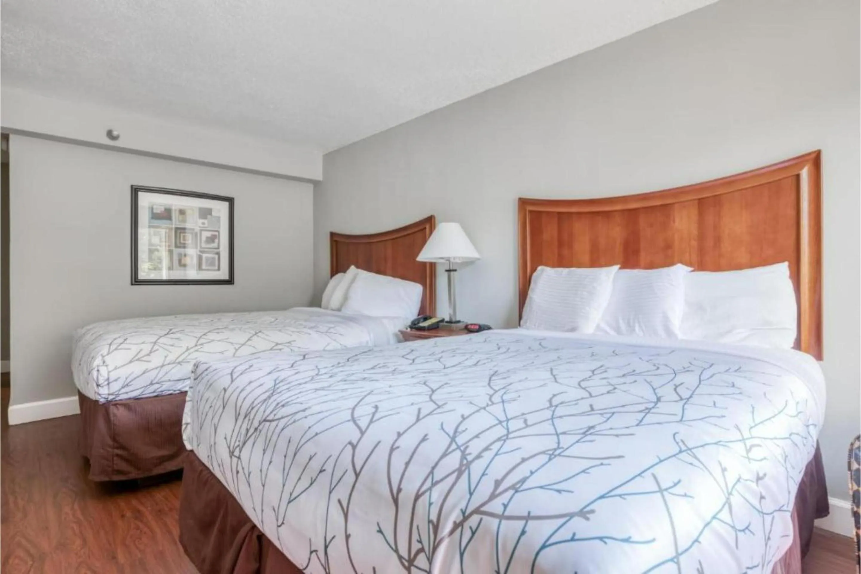 Bedroom, Bed in OYO Hotel Memphis TN I-40