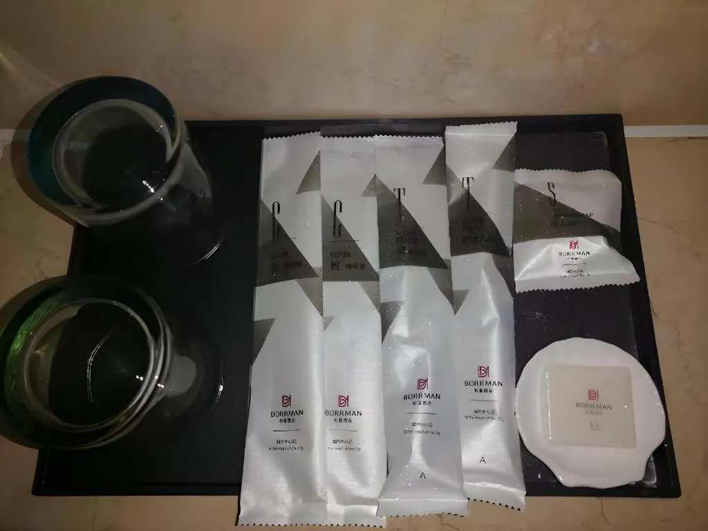 Borrman Hotel Liuzhou High-Speed Railway Station