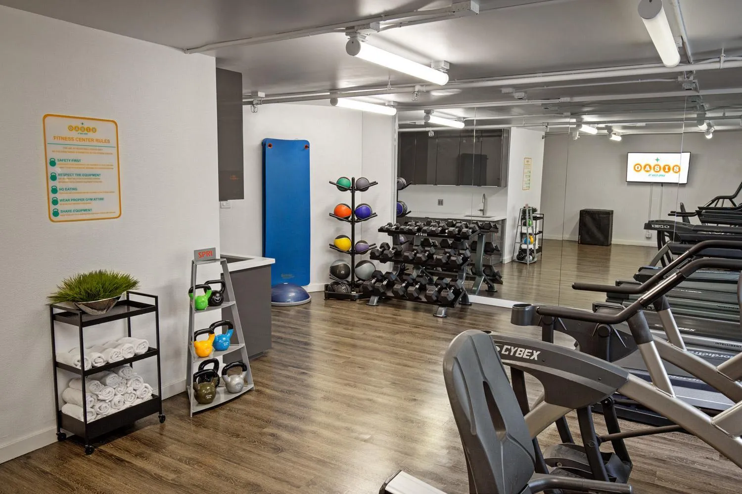 Fitness centre/facilities in Oasis at Gold Spike