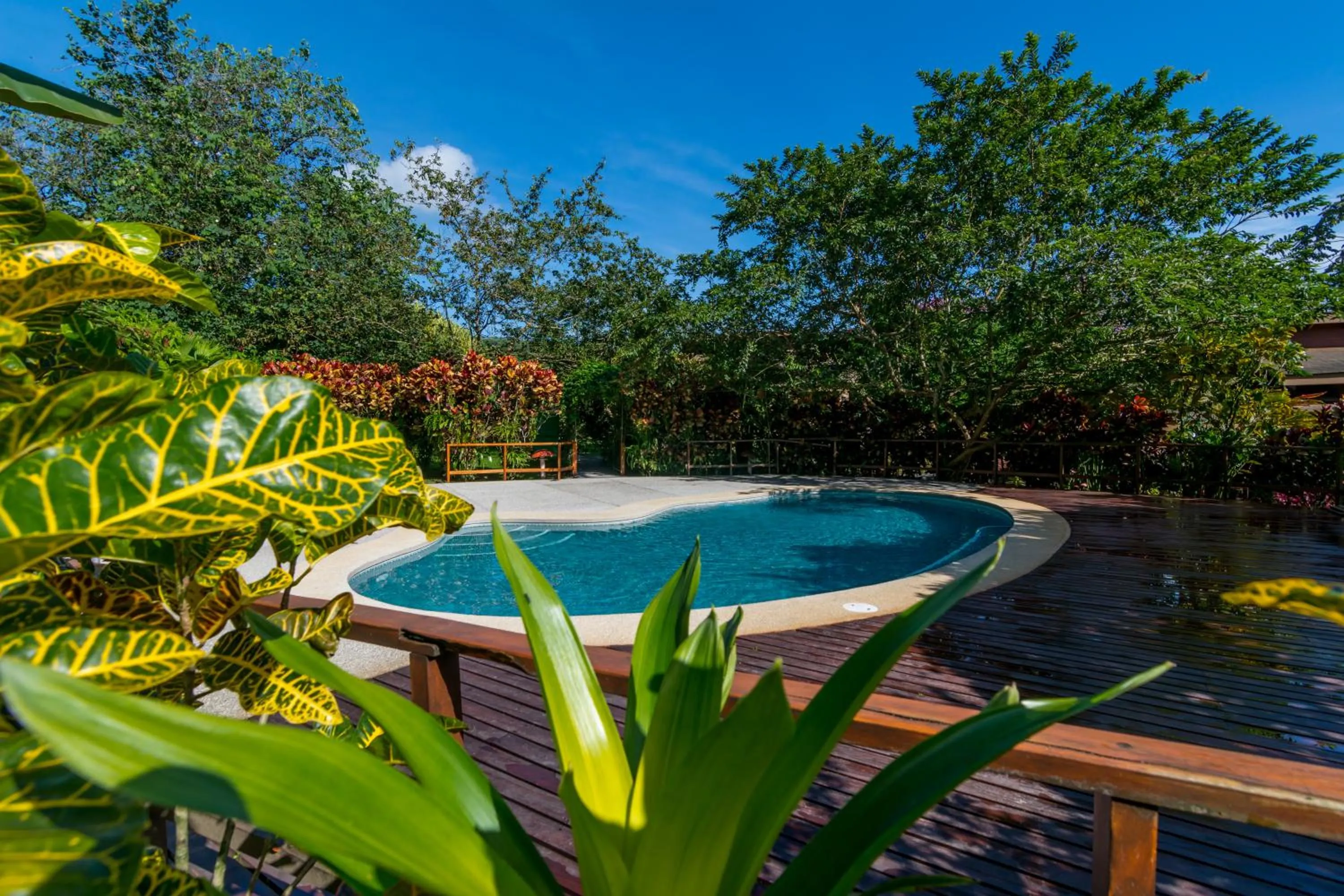 Pool view in Hotel El Silencio del Campo