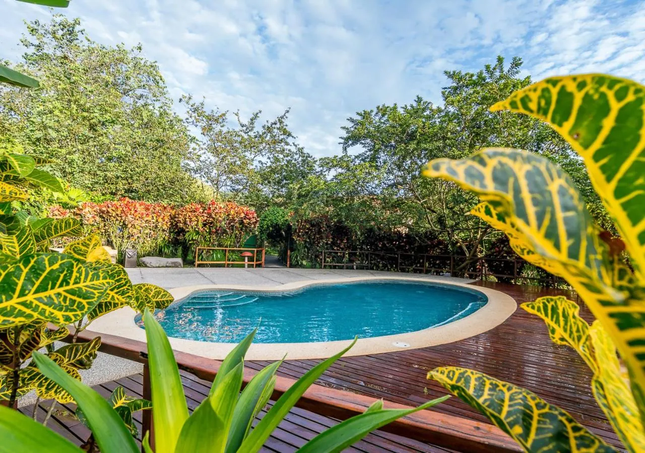 Pool view in Hotel El Silencio del Campo
