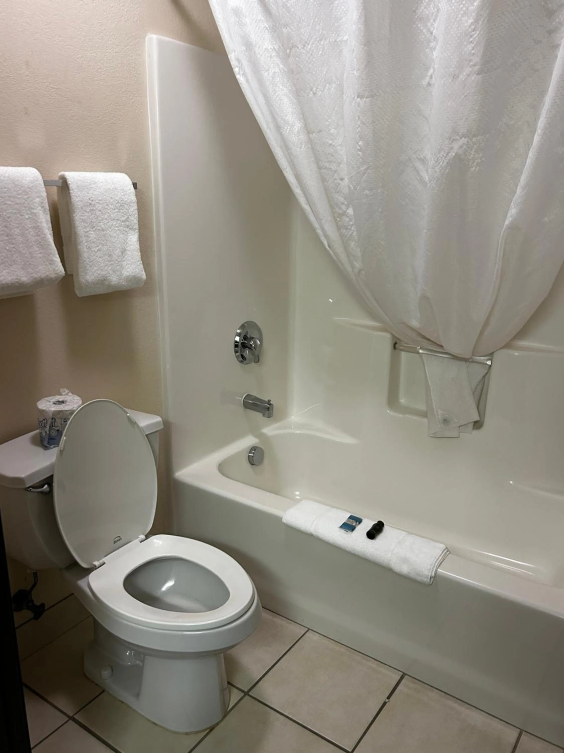 Bathroom in Ameristay Inn & Suites