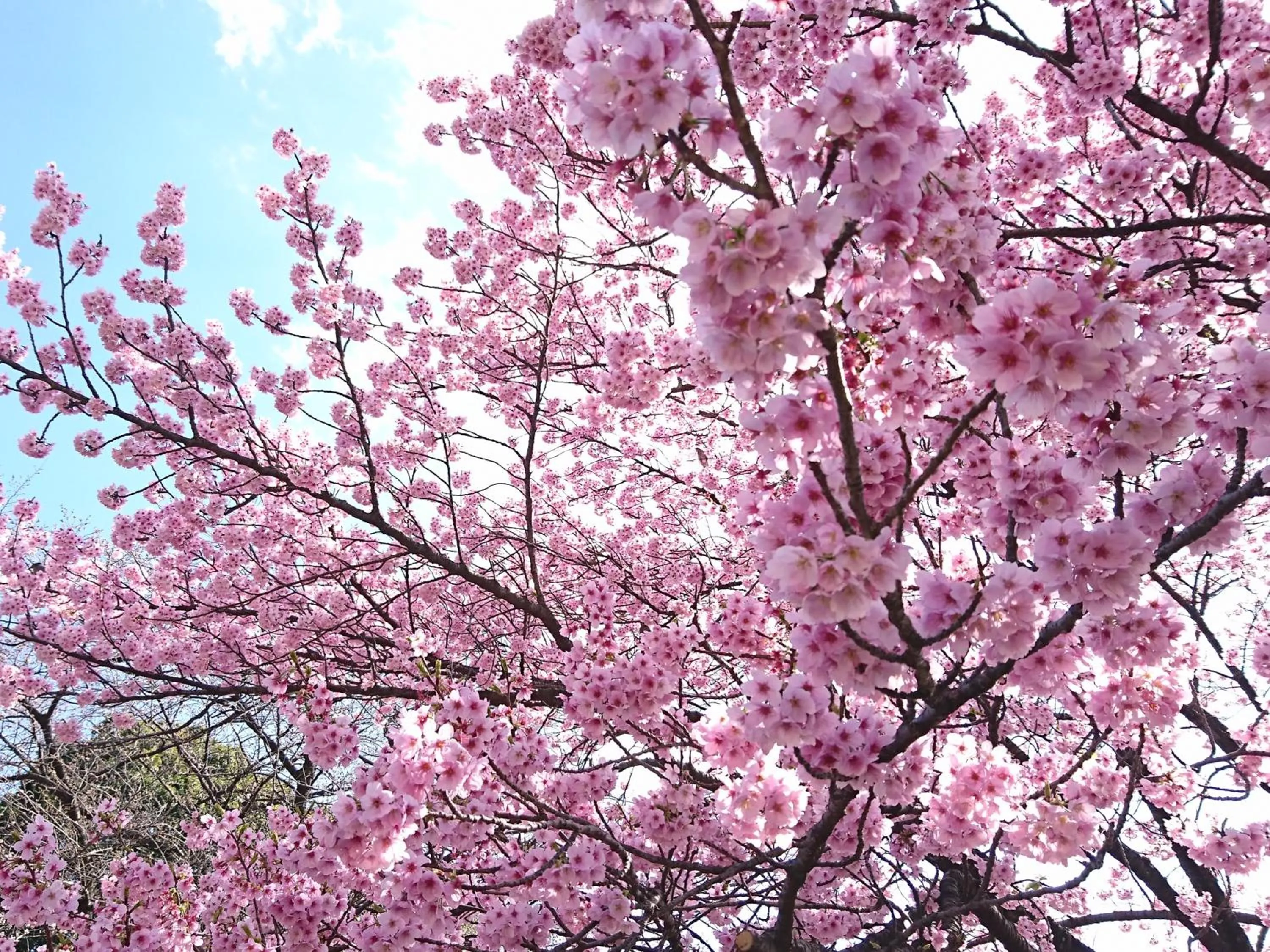 Nearby landmark in APA Hotel Higashi Shinjuku Kabukicho