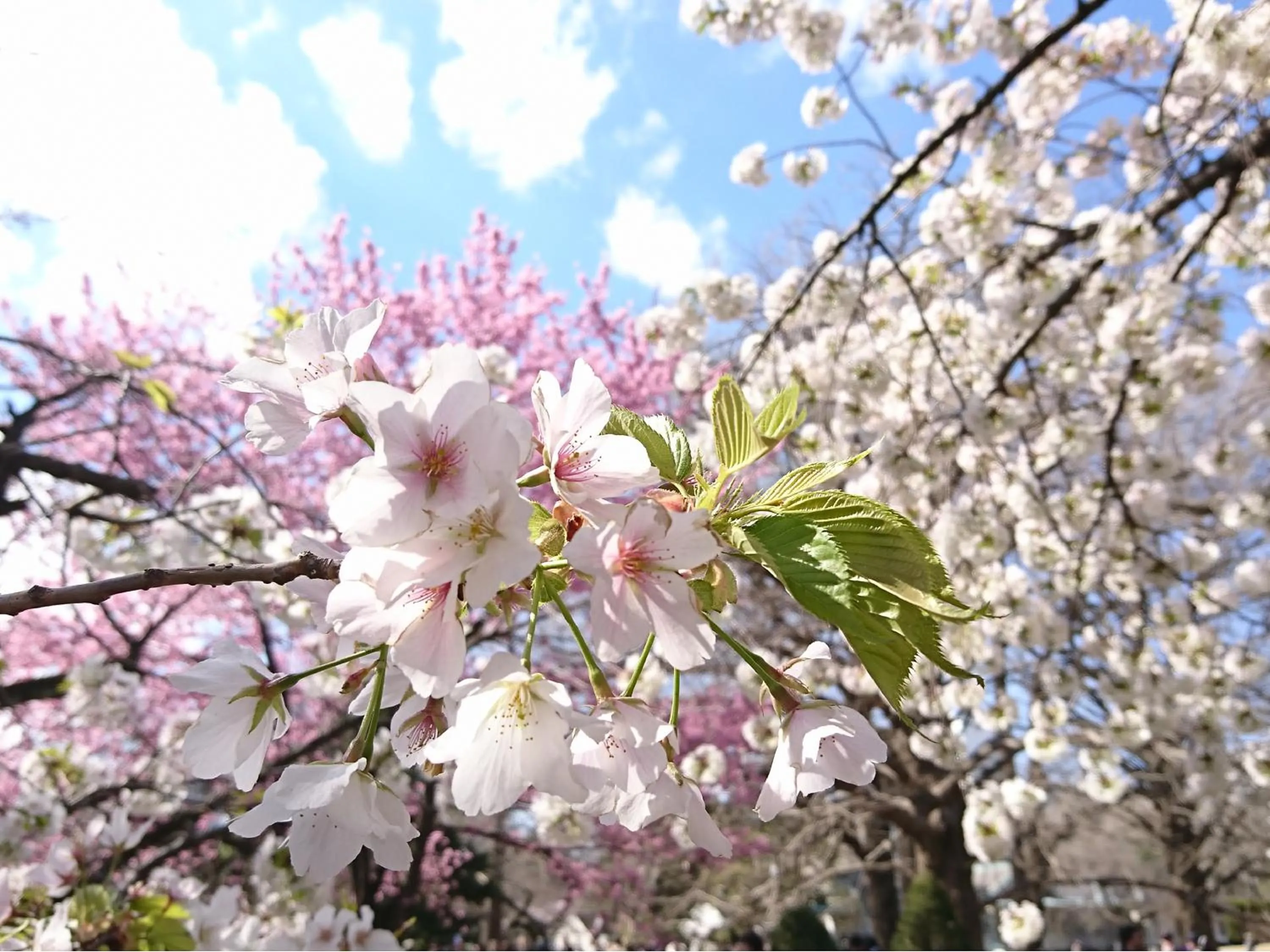 Nearby landmark in APA Hotel Higashi Shinjuku Kabukicho