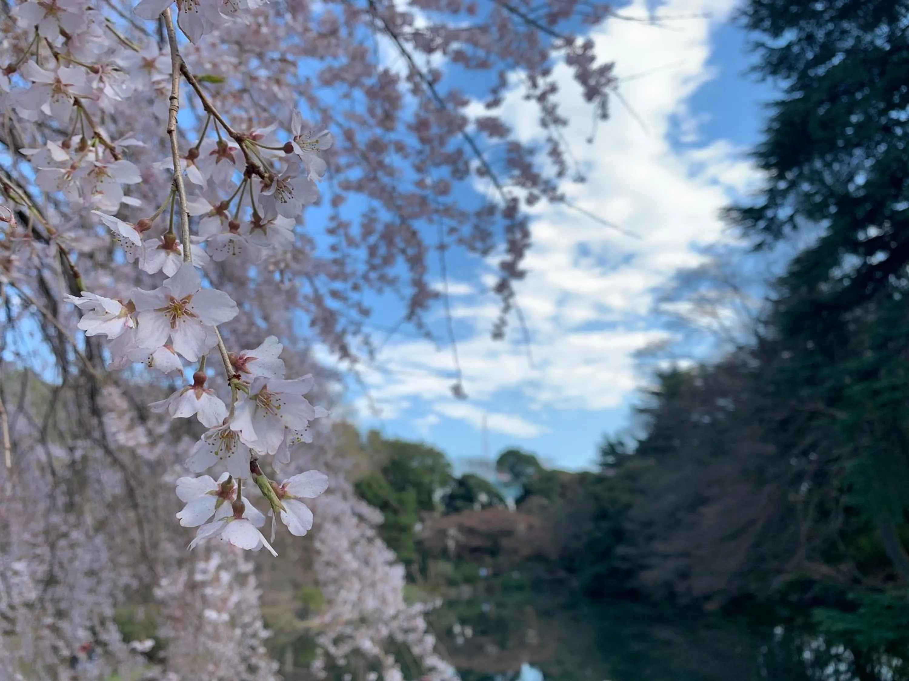 Nearby landmark in APA Hotel Higashi Shinjuku Kabukicho