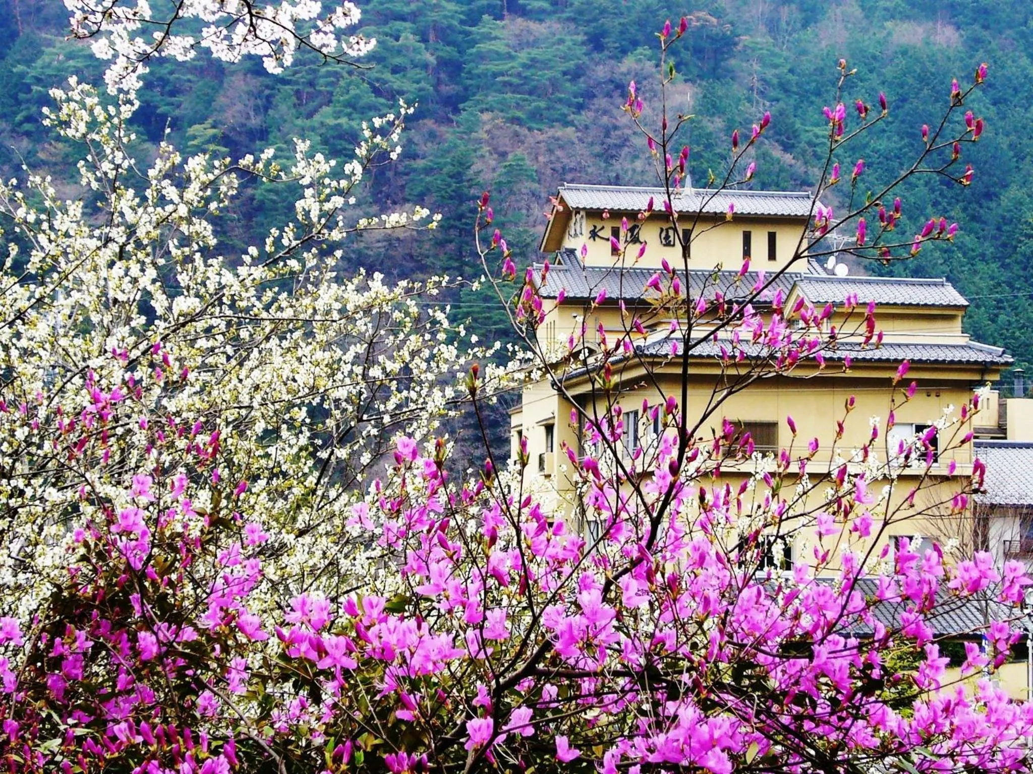 Area and facilities in Suihoen