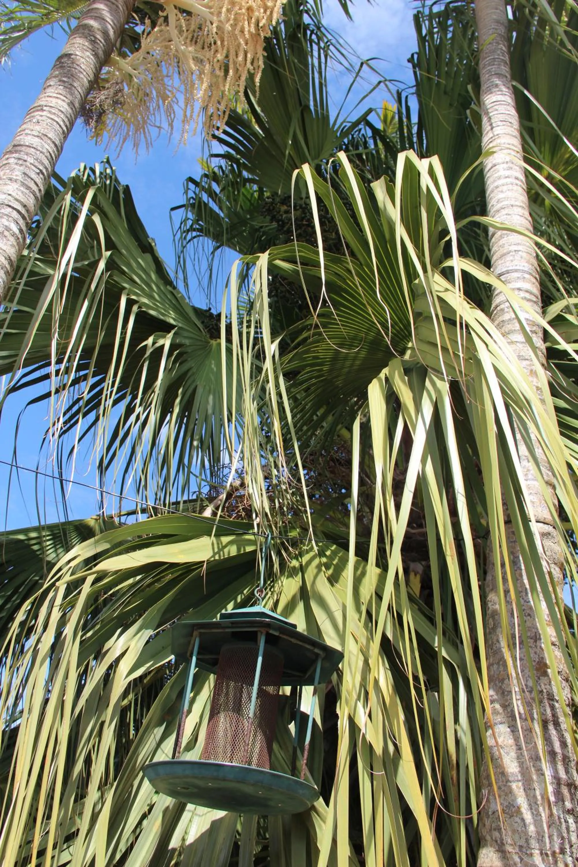 Decorative detail in Childers Gateway Motor Inn