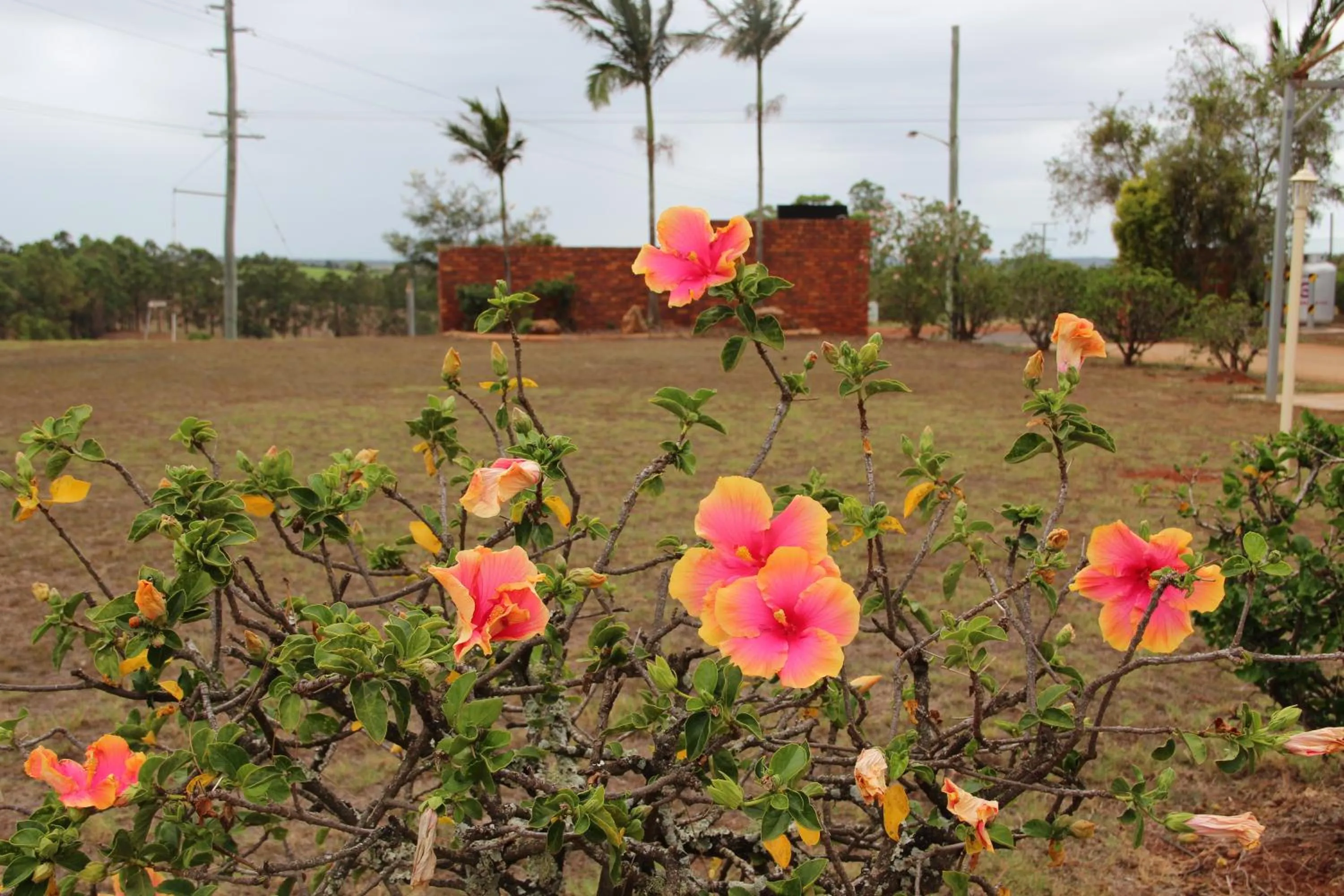 Facade/entrance in Childers Gateway Motor Inn