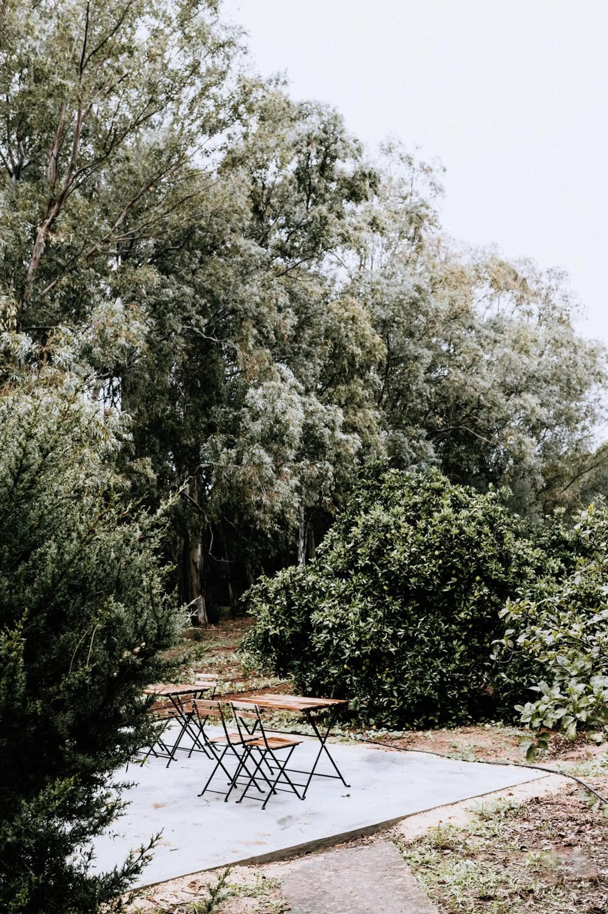 Finca Laida