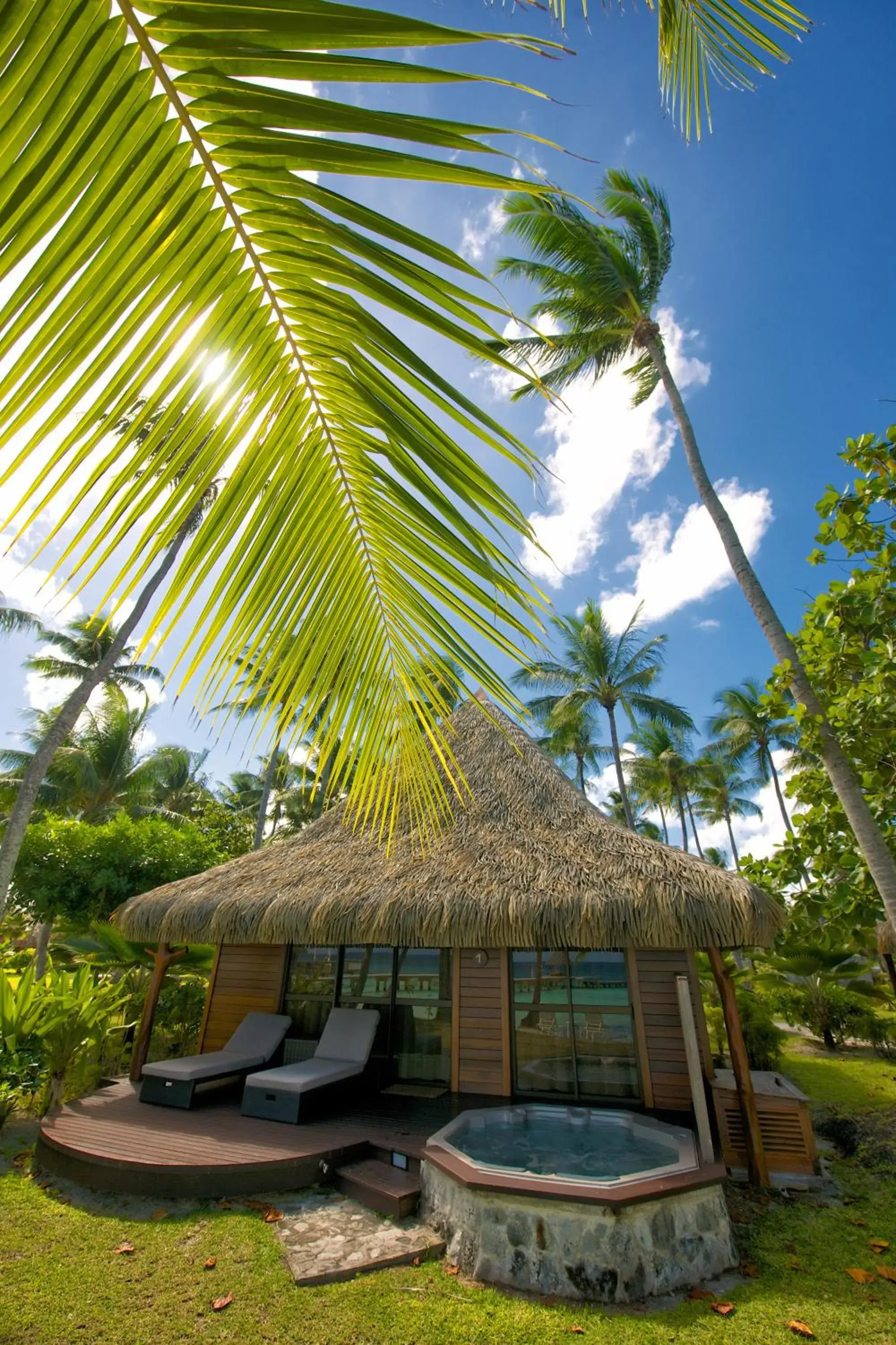 sunbed in Hotel Kia Ora Resort & Spa sunbed in Hotel Kia Ora Resort & Spa