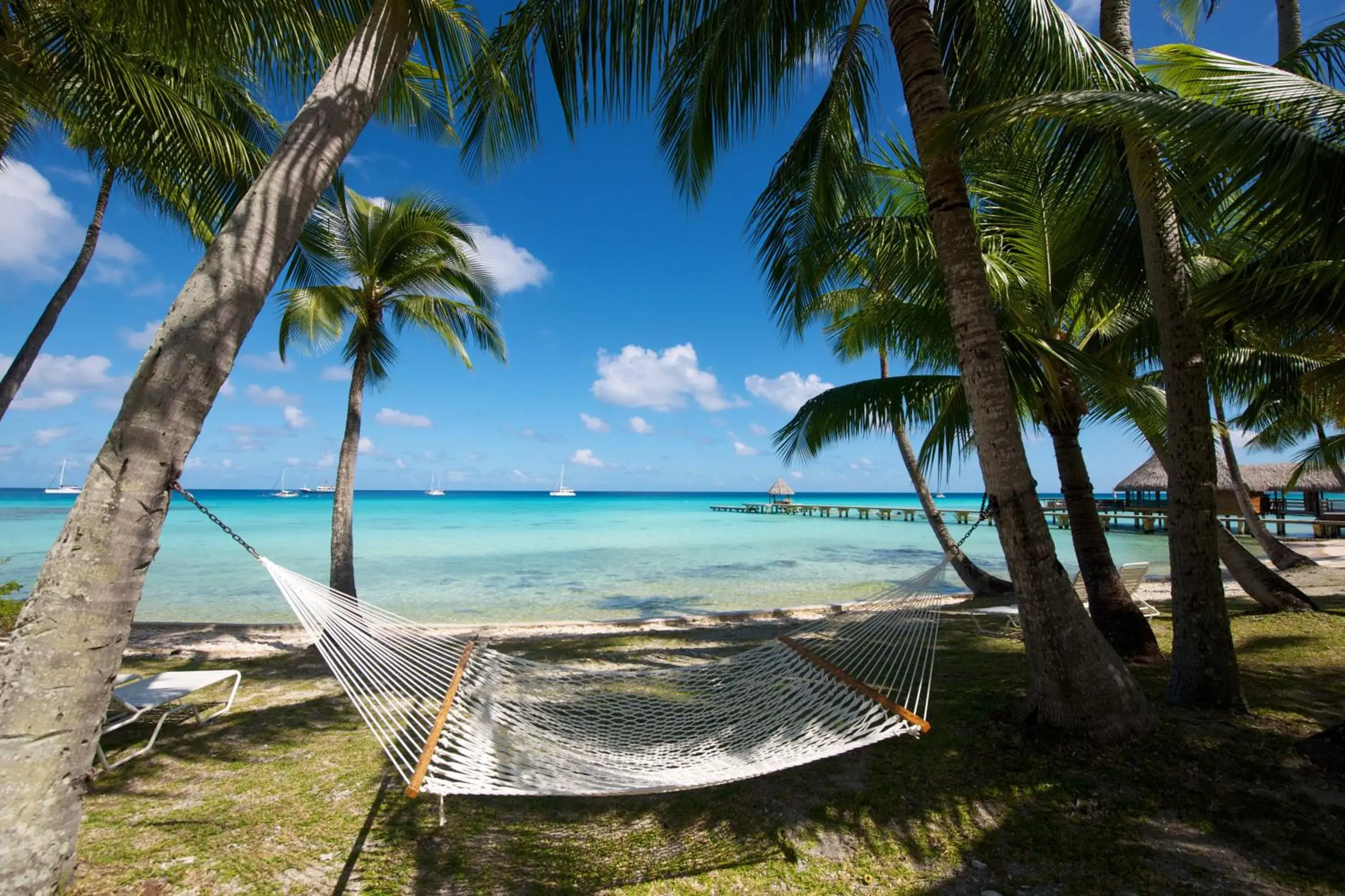 View (from property/room) in Hotel Kia Ora Resort & Spa View (from property/room) in Hotel Kia Ora Resort & Spa