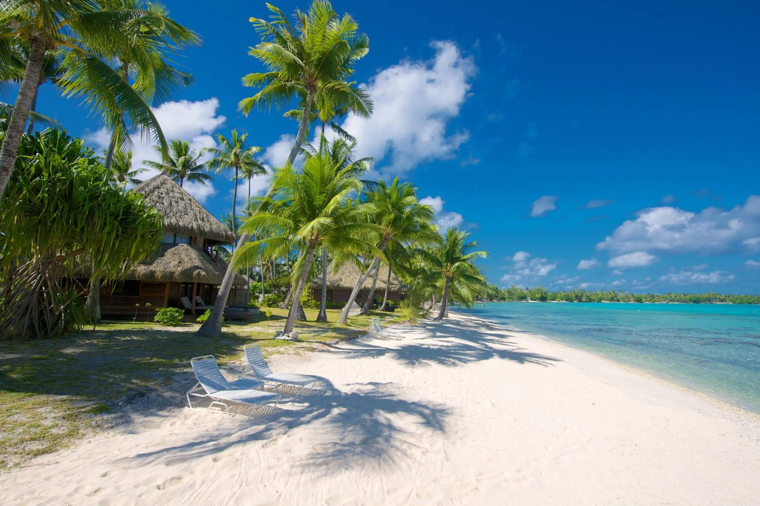 Beach in Hotel Kia Ora Resort & Spa