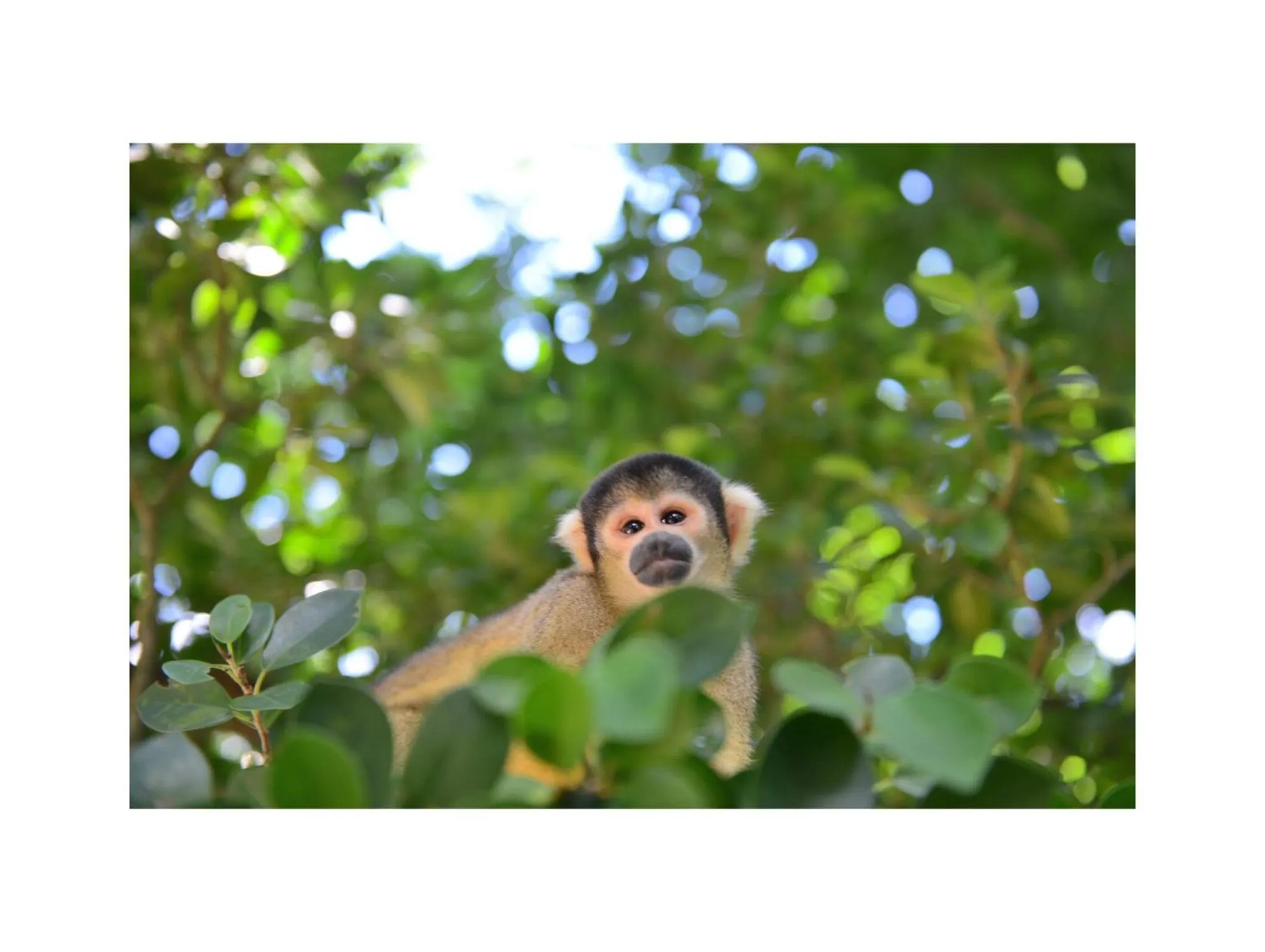 Area and facilities in Oceanview Yui