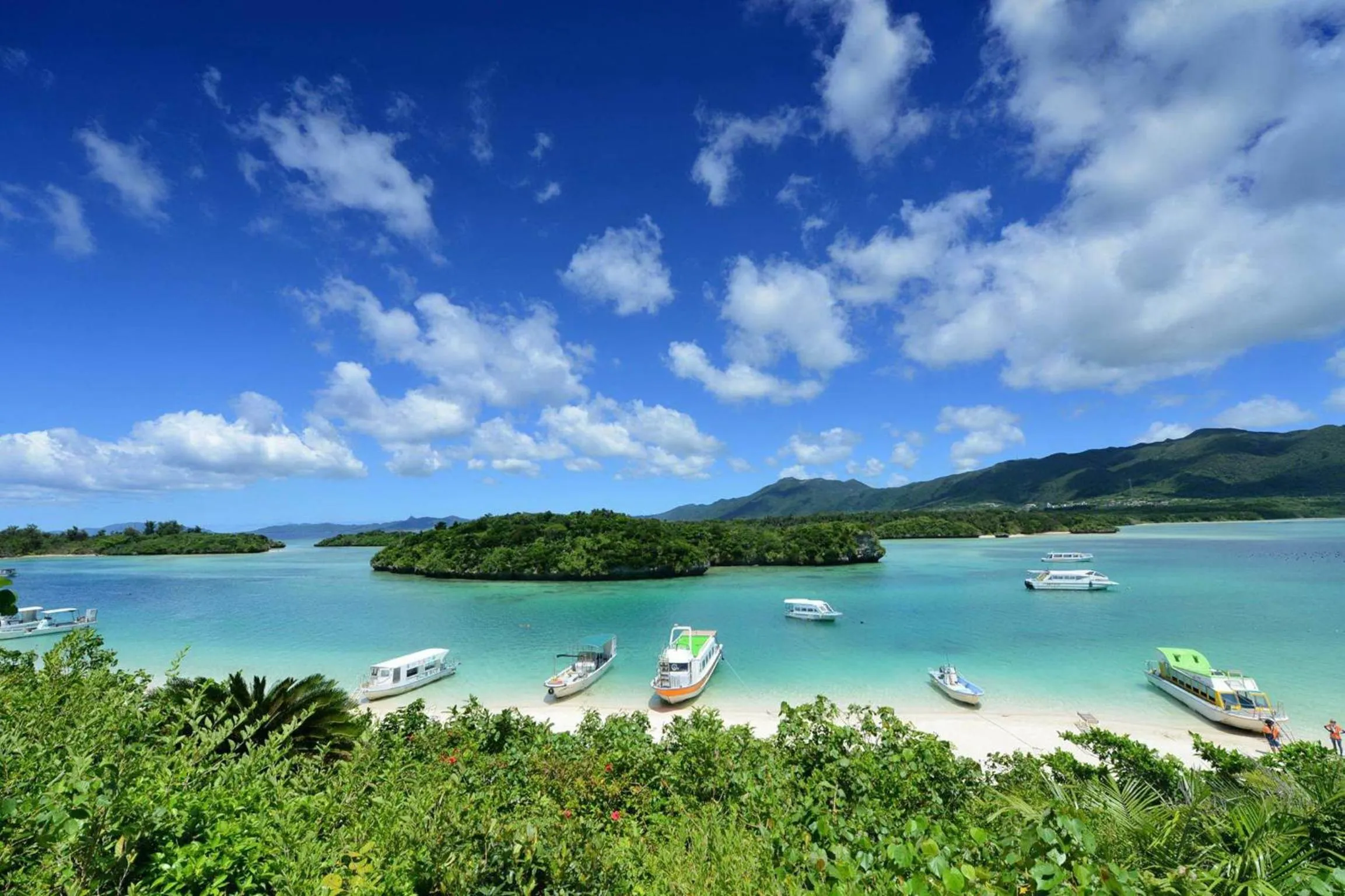 Off site in Oceanview Yui