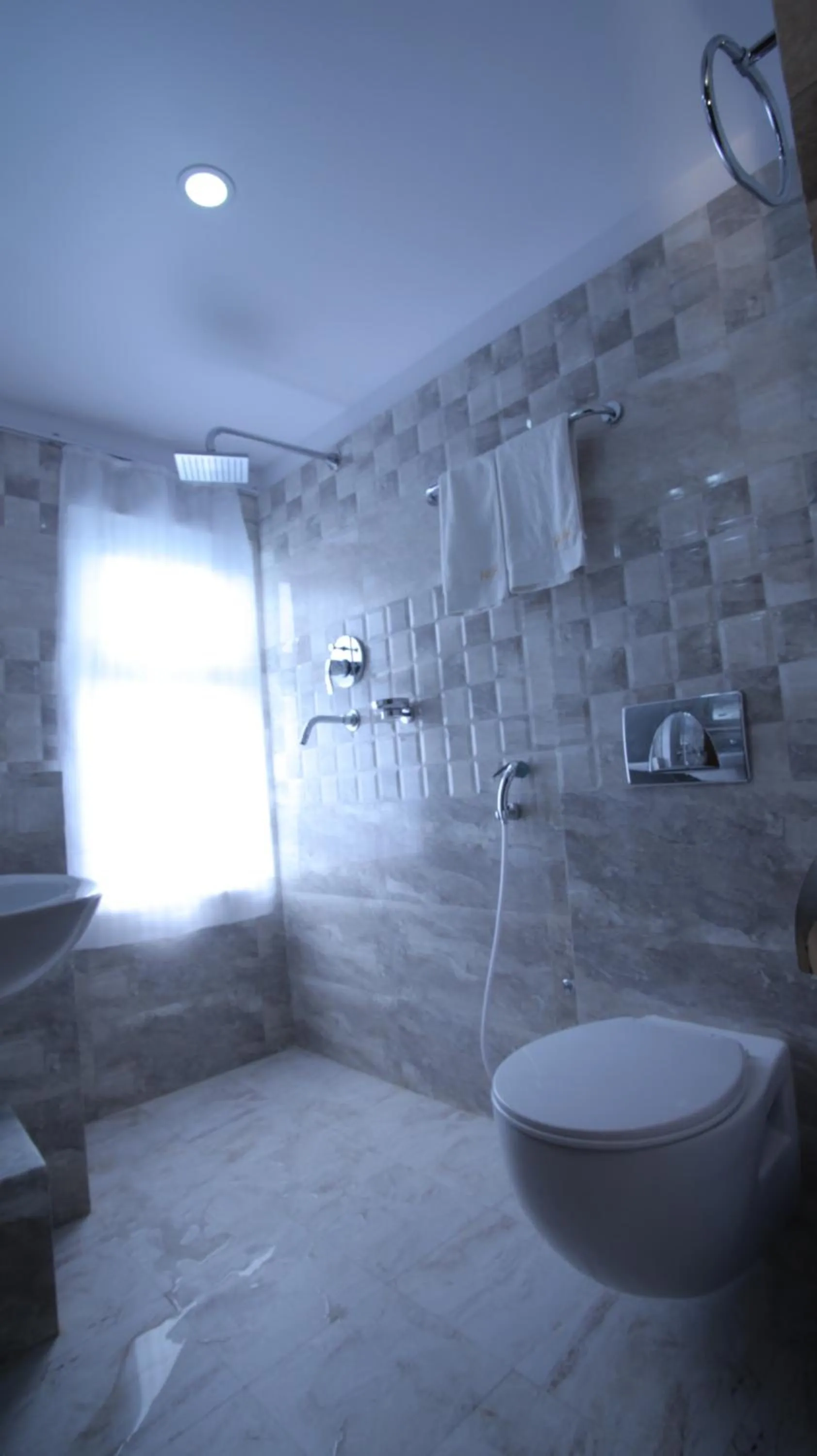 Shower in Hotel Osho Home