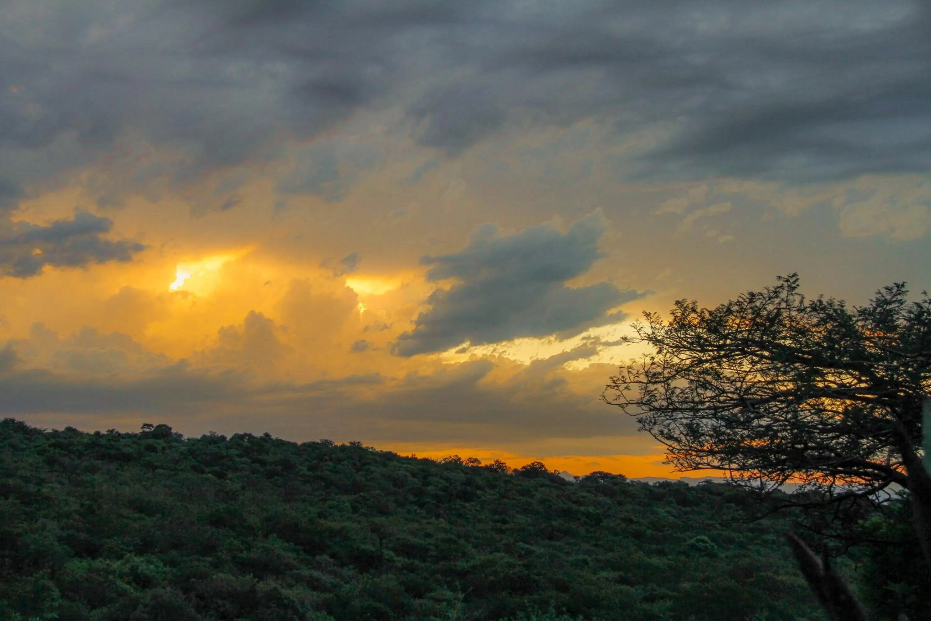 Mountain view in Spion Kop Lodge