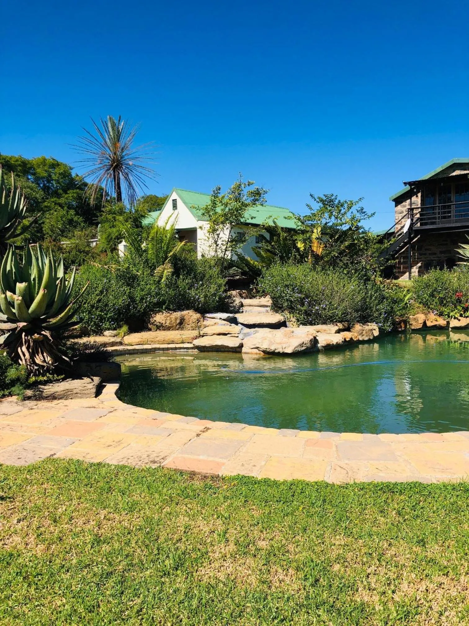 Garden in Spion Kop Lodge