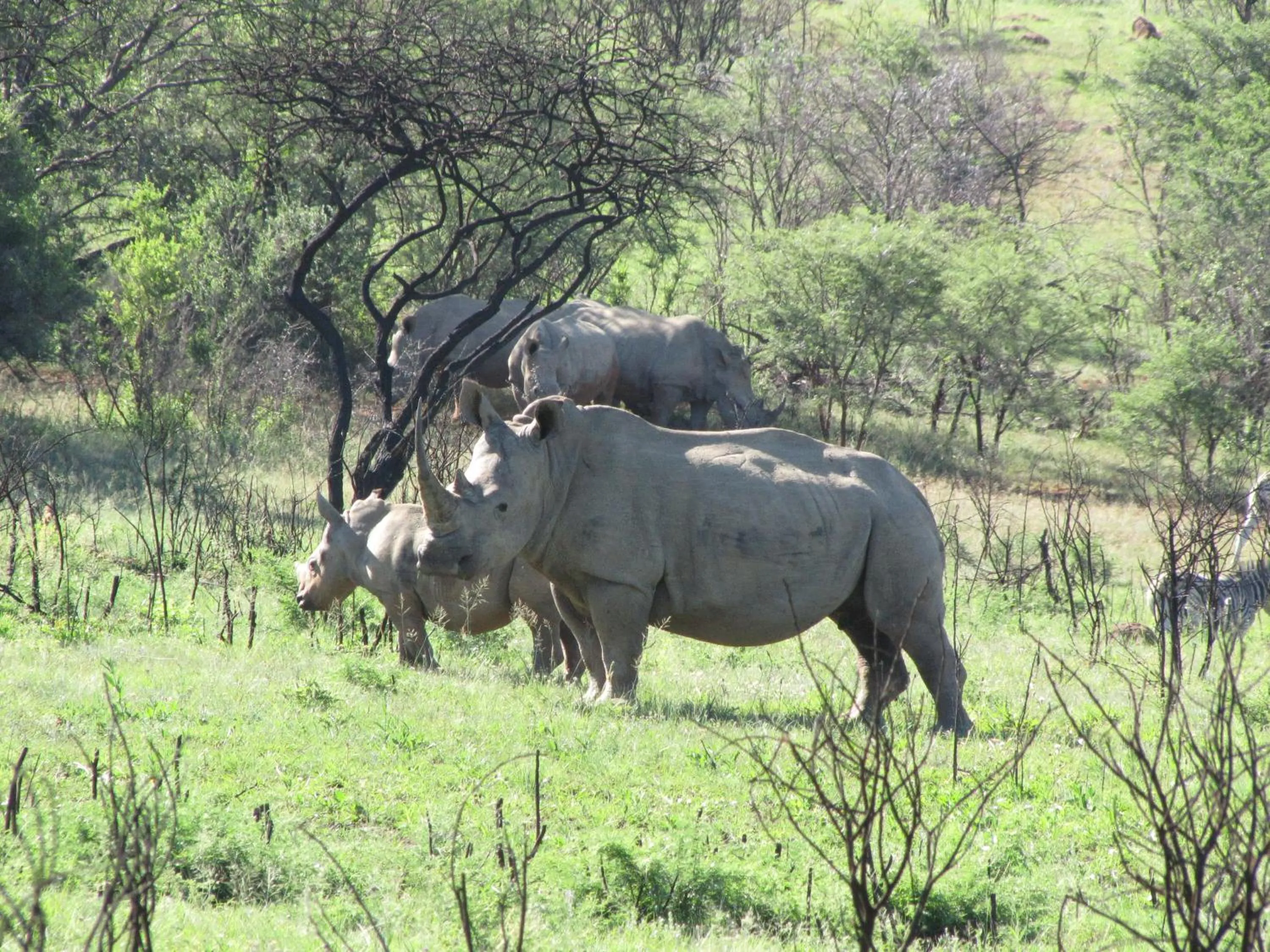 Day in Spion Kop Lodge