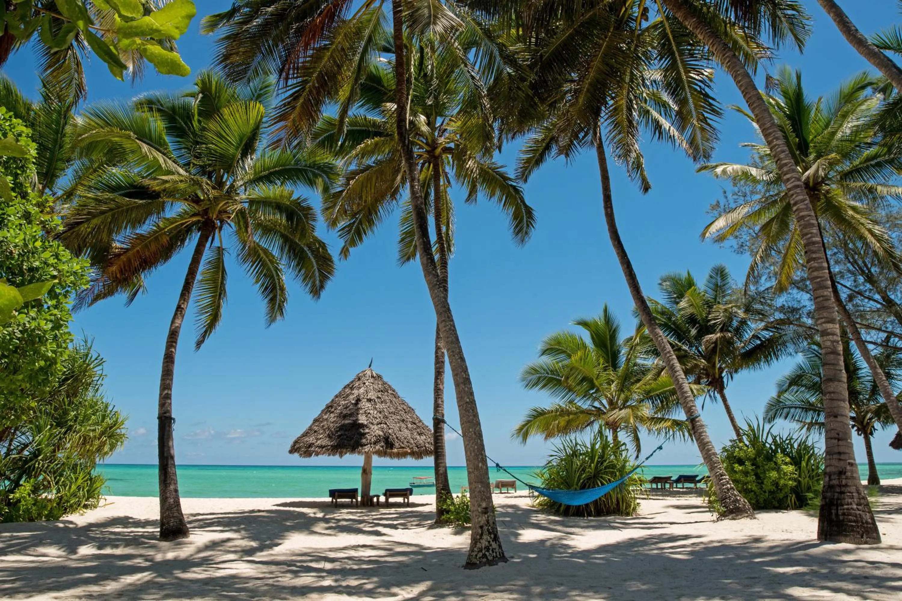 Beach in Pongwe Beach Hotel