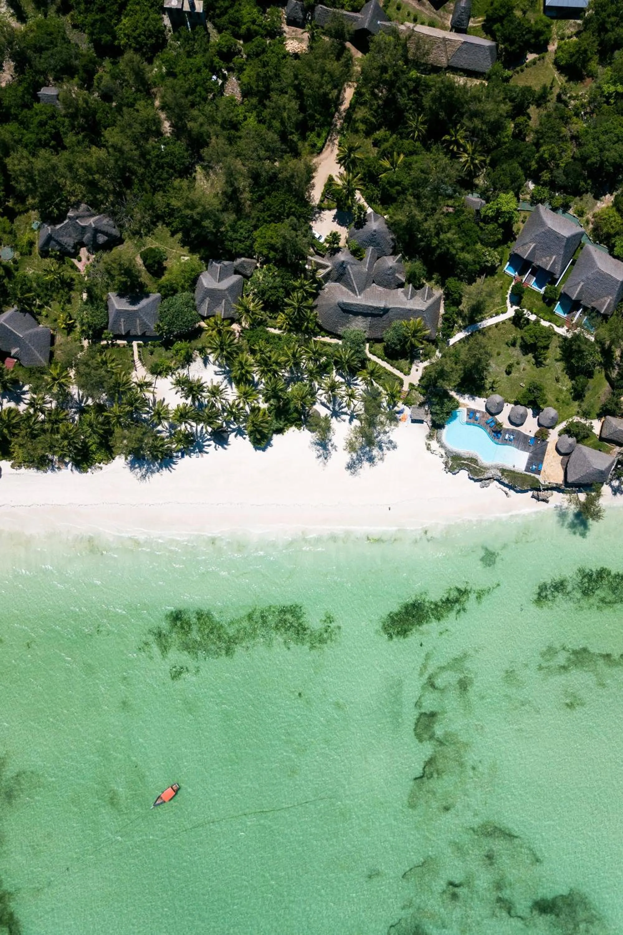 Natural landscape in Pongwe Beach Hotel