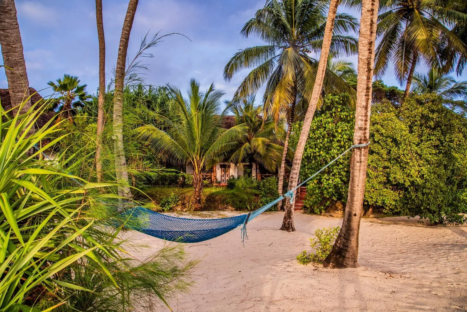 Garden in Pongwe Beach Hotel