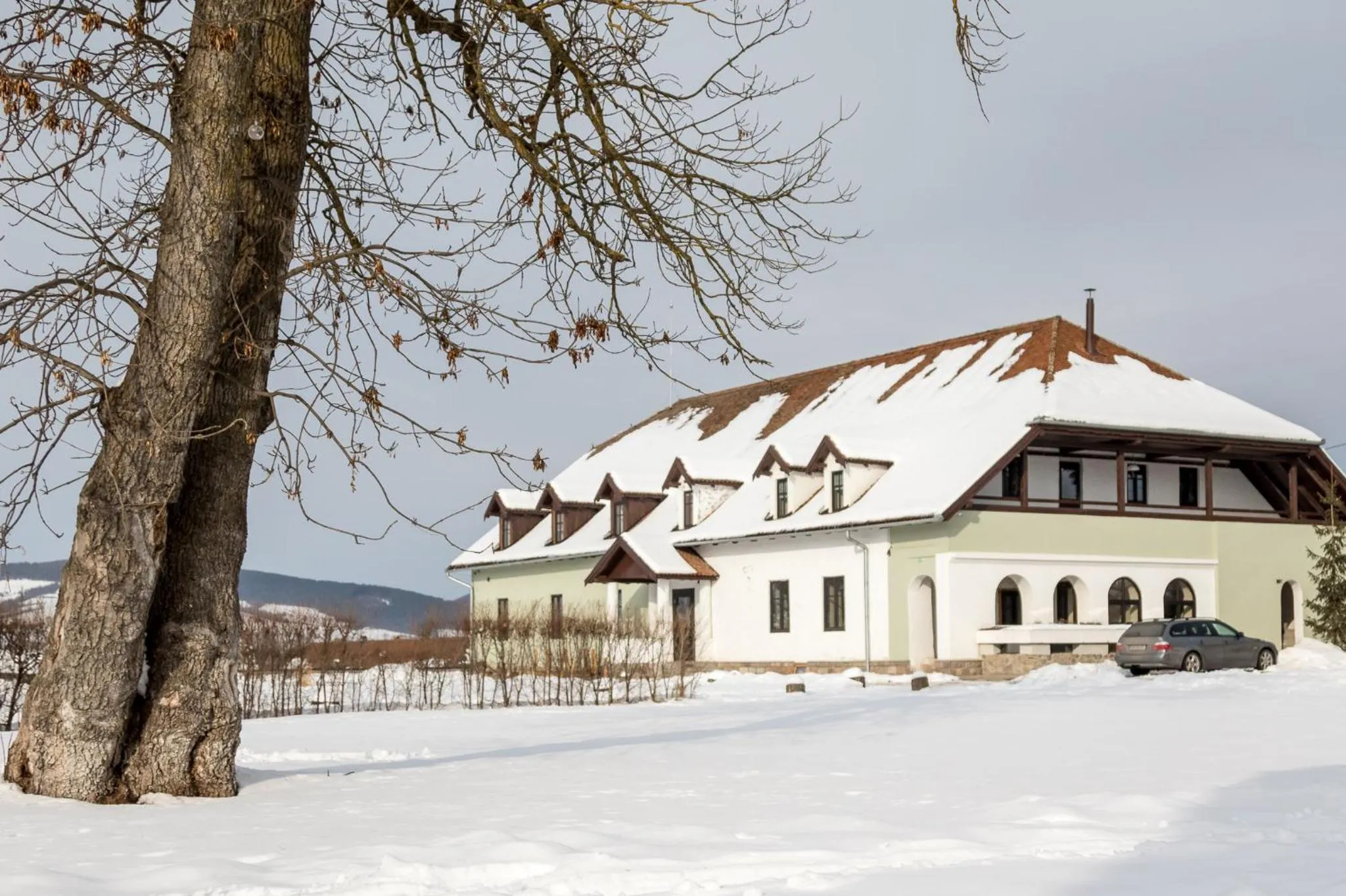 Facade/entrance in Castle Hotel Daniel