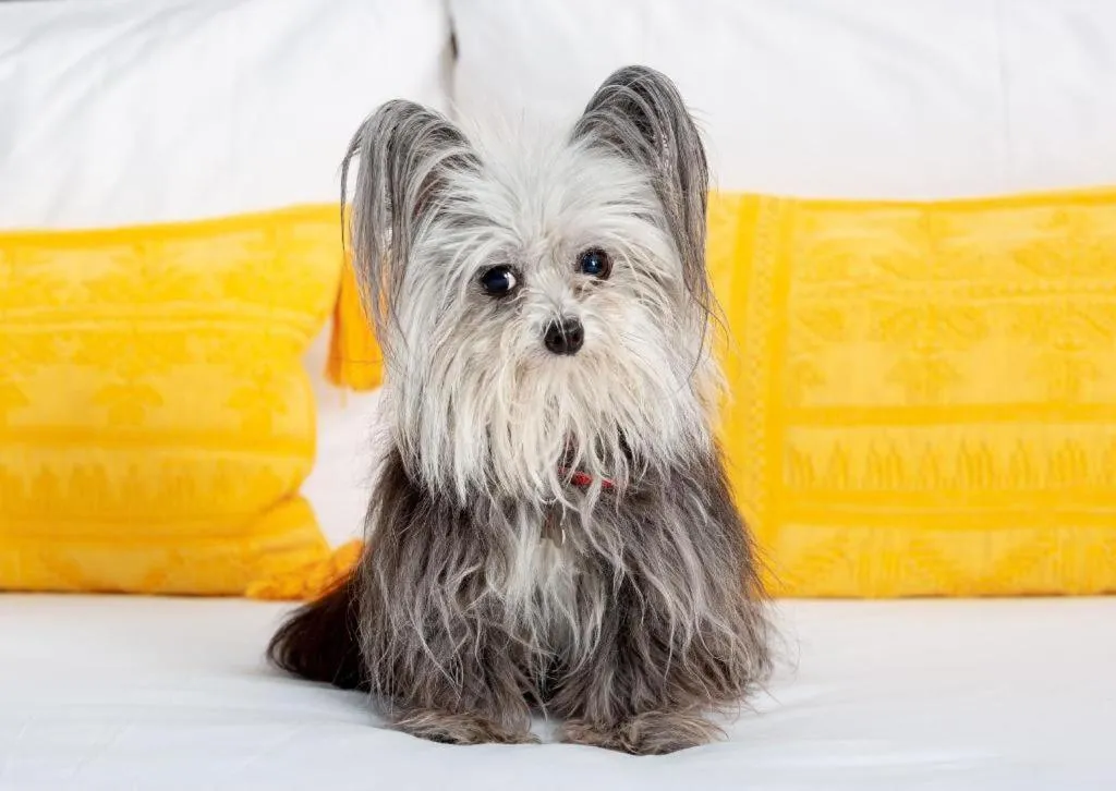 The Panoramic by Xperience Hotels