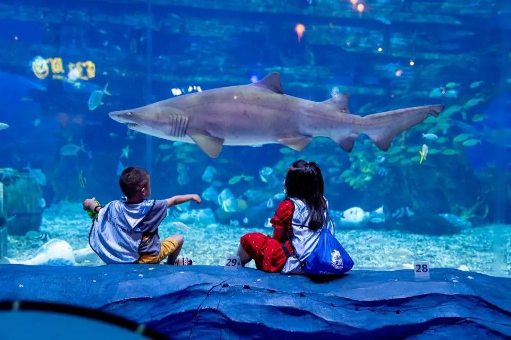 Steigenberger Hotel SUNAC Jinan