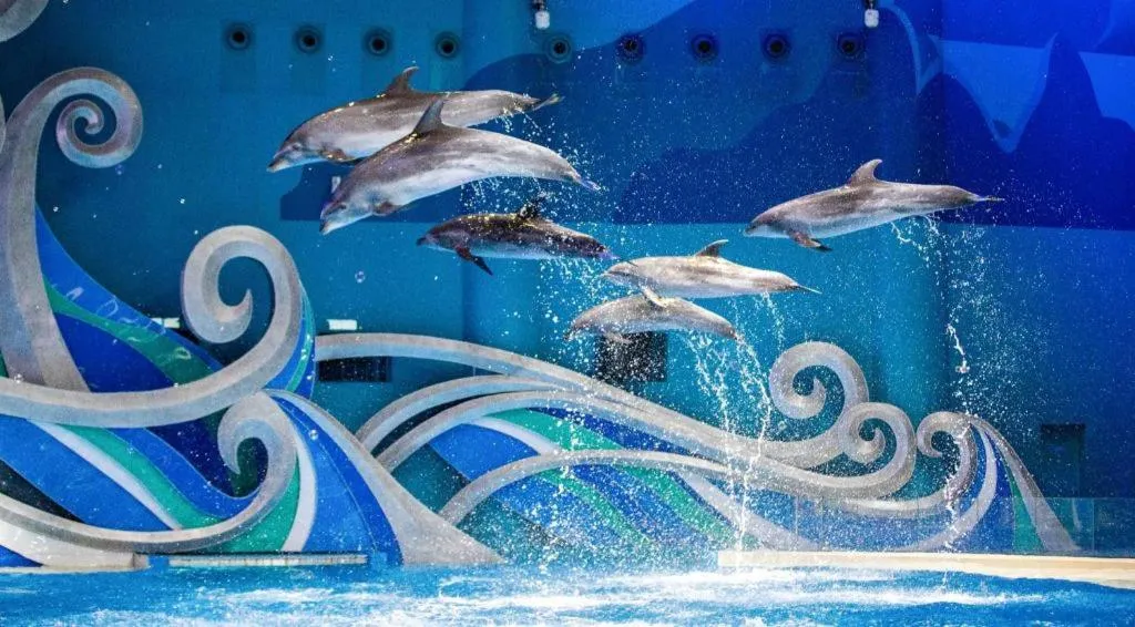 Steigenberger Hotel SUNAC Jinan