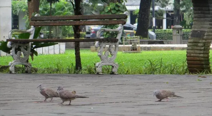 FLAMINGO RESIDENCE FLAMINGO RESIDENCE