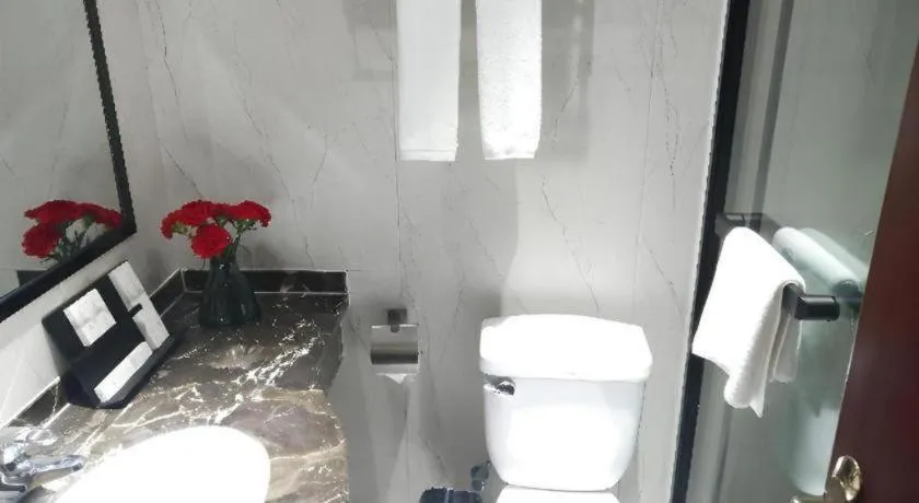 Borrman Hotel Chongqing Hechuan High-speed Railway Station District Government