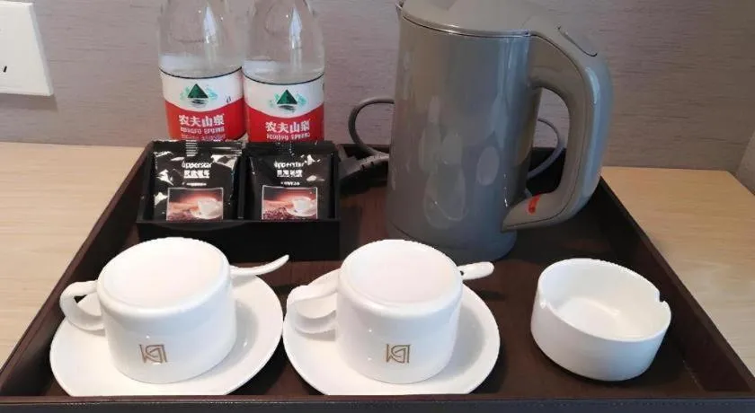 Borrman Hotel Chongqing Hechuan High-speed Railway Station District Government