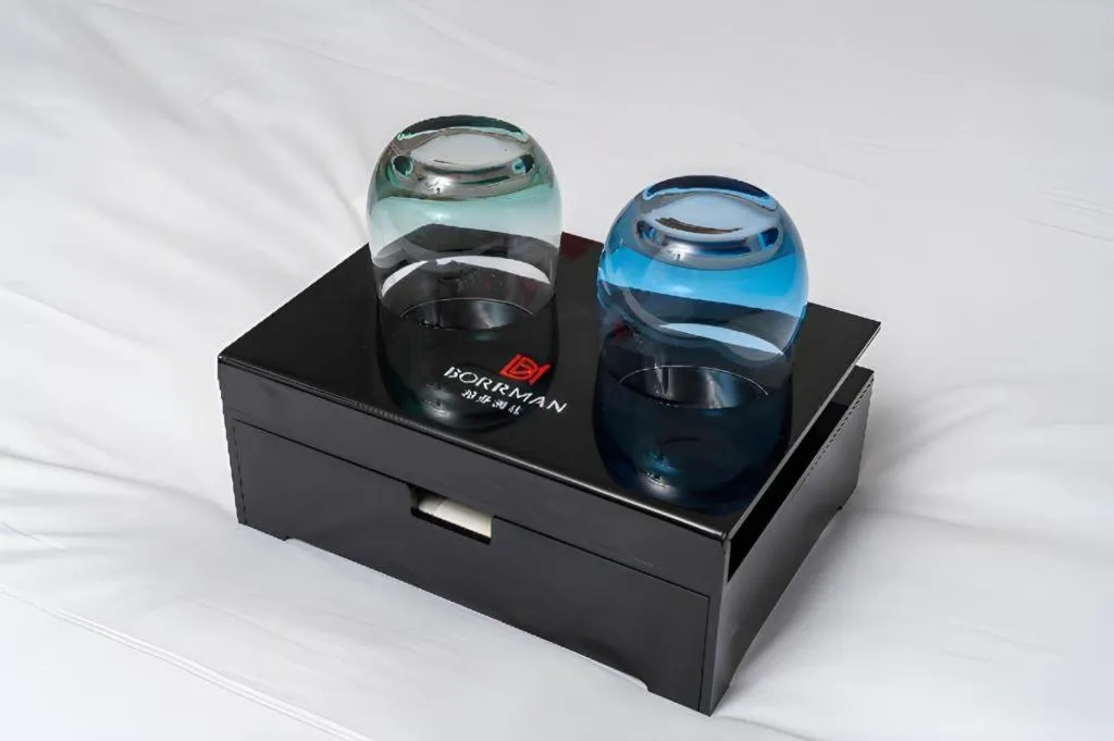 Borrman Hotel Guangzhou Shisanhang Ximenkou Metro Station