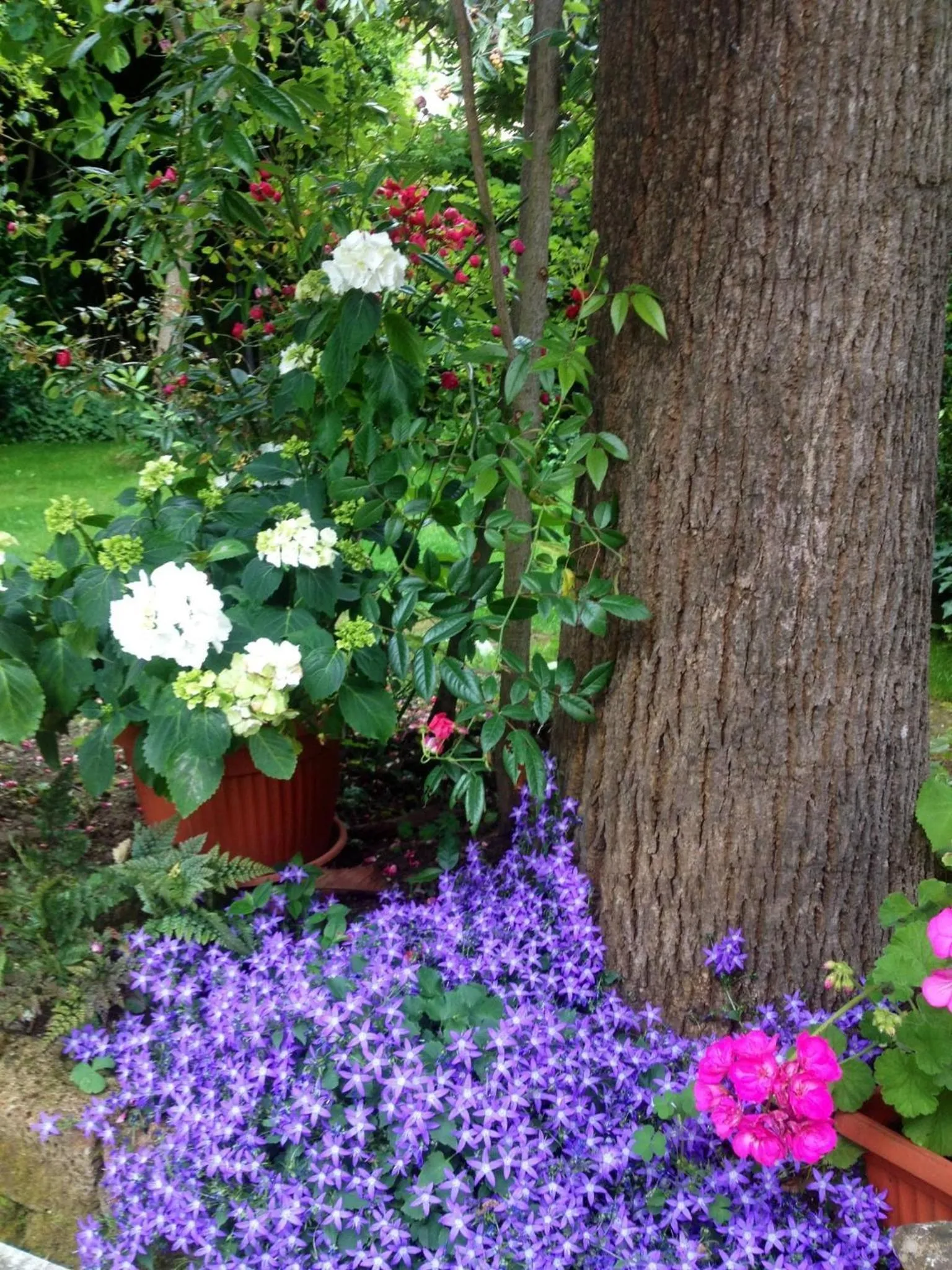 Garden in Villa la Fonte