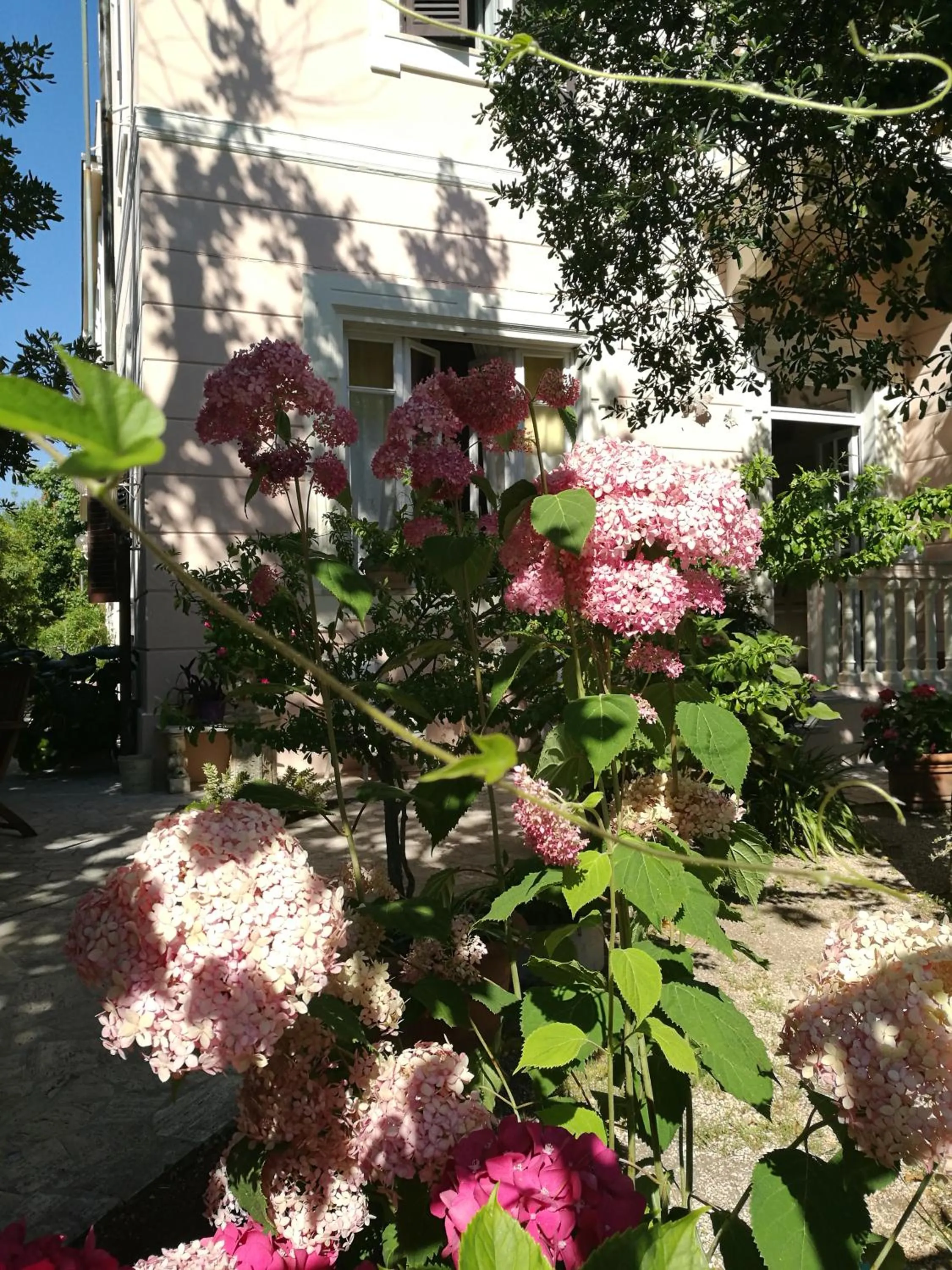 Garden in Villa la Fonte