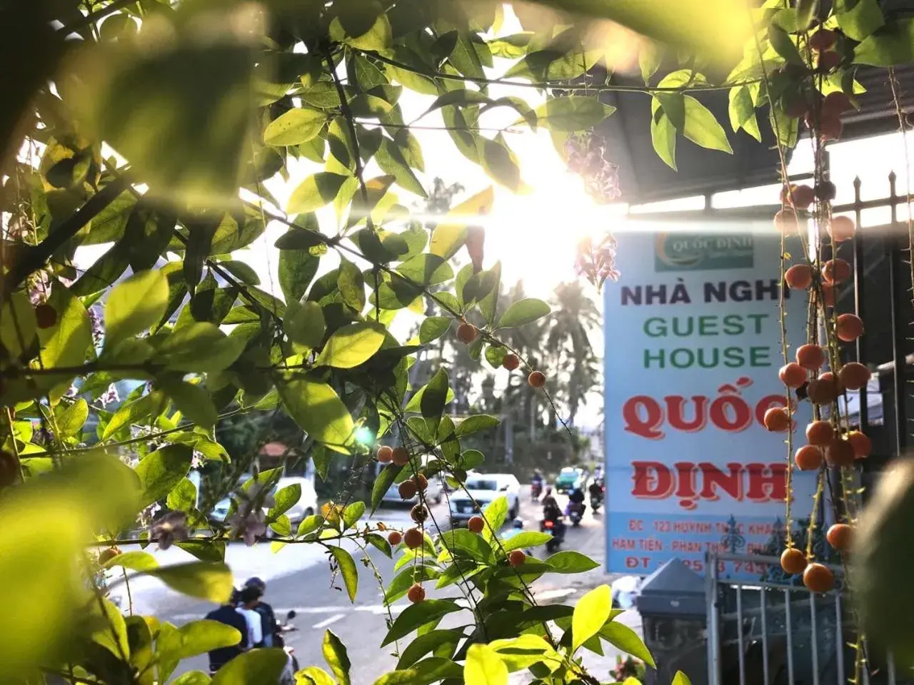 Other in Quoc Dinh Guest House Other in Quoc Dinh Guest House