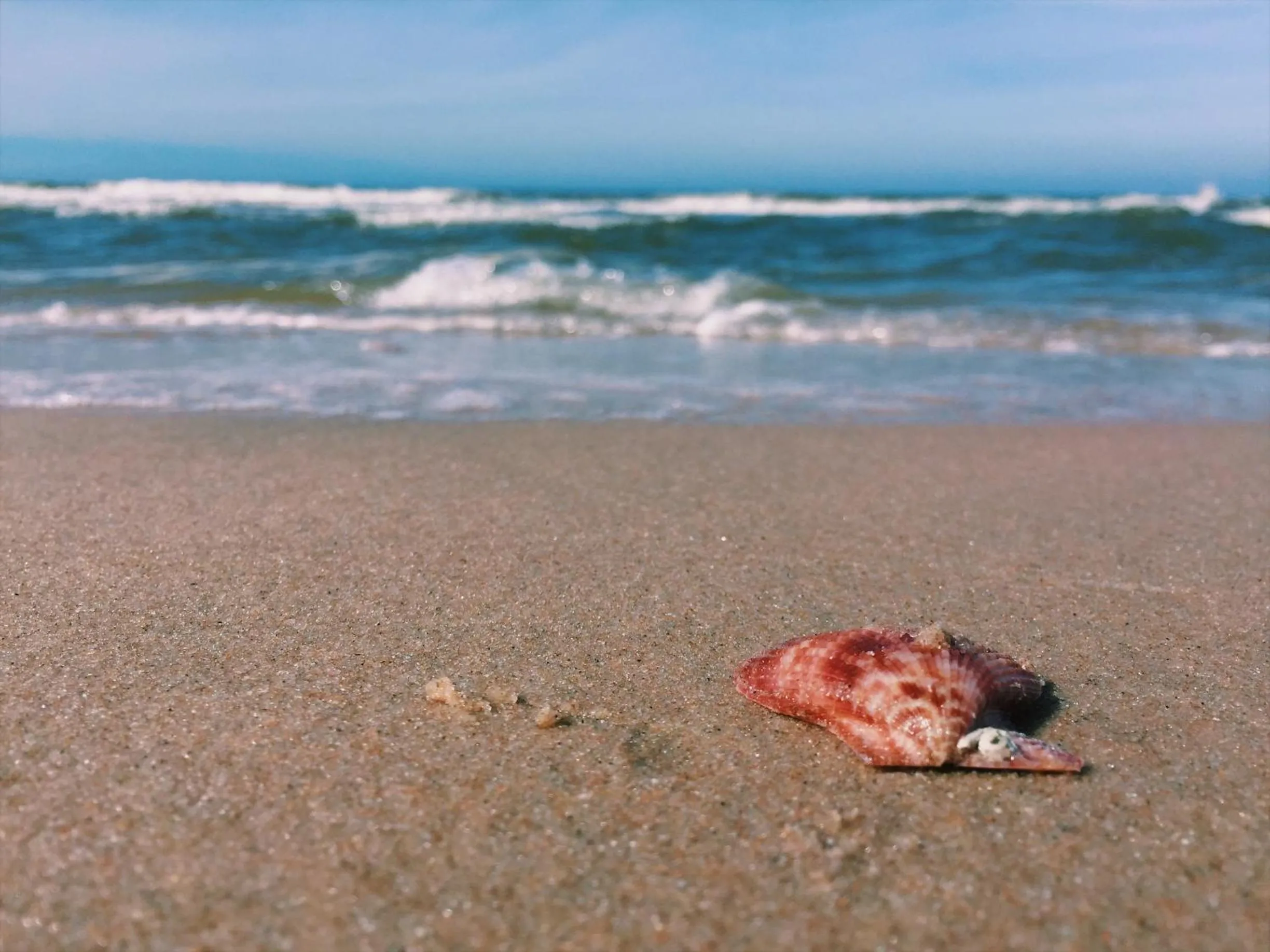 Natural landscape in Quoc Dinh Guest House