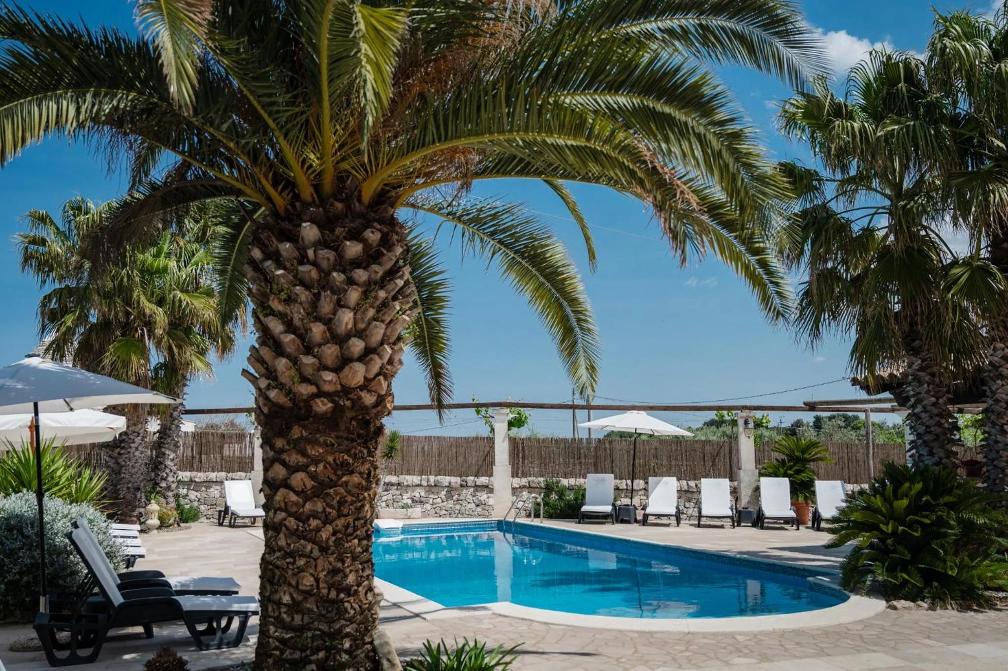 Swimming pool in Trulli D'autore
