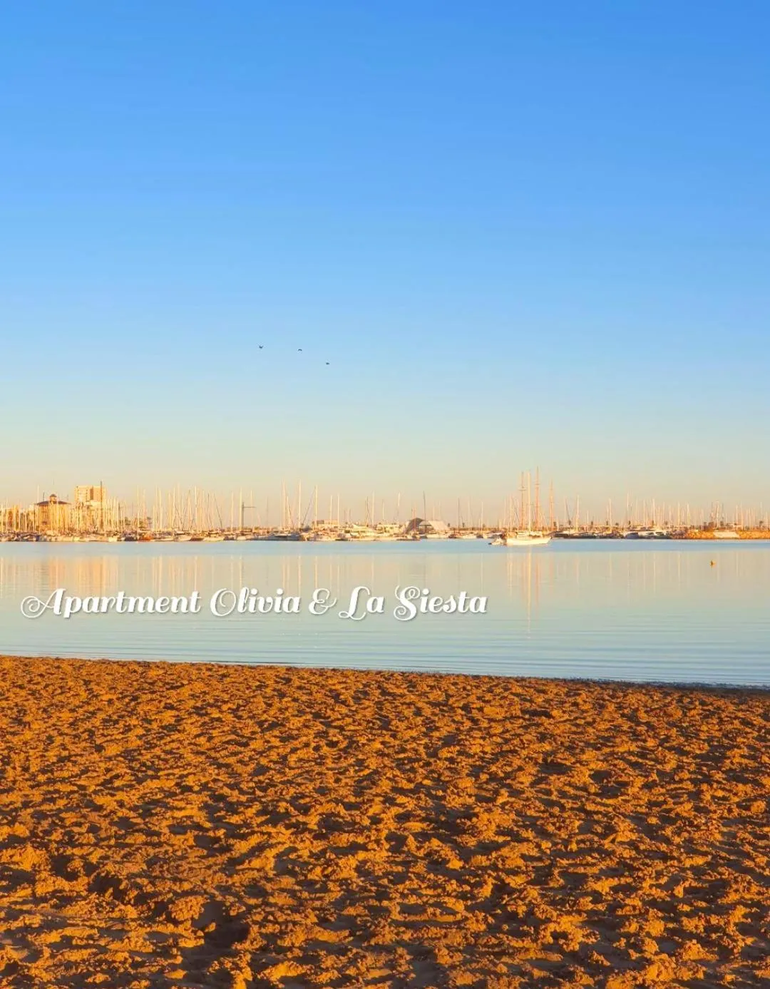 Apartment La Siesta