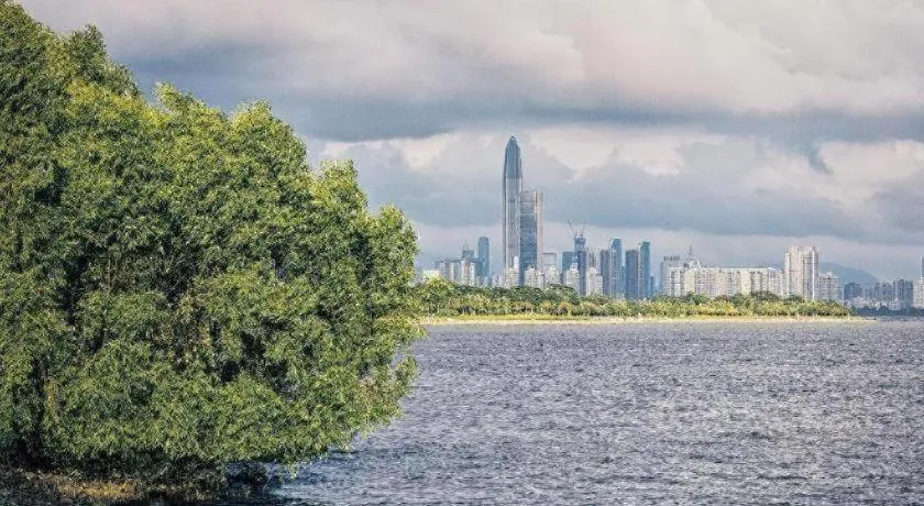 Vienna Hotel Shenzhen Window of the World Qiaochengdong Metro Station