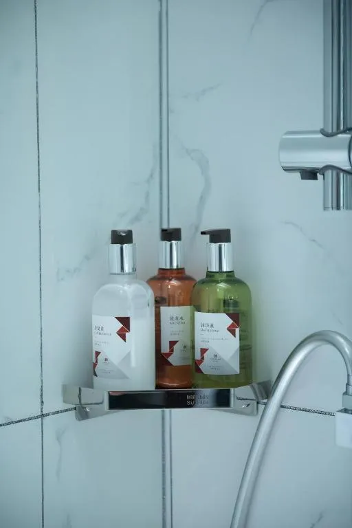 Borrman Hotel Baise High-speed Railway Station Hengning Plaza