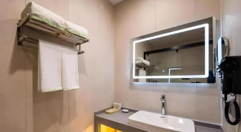 Green Tree Inn Shenyang Middle Street