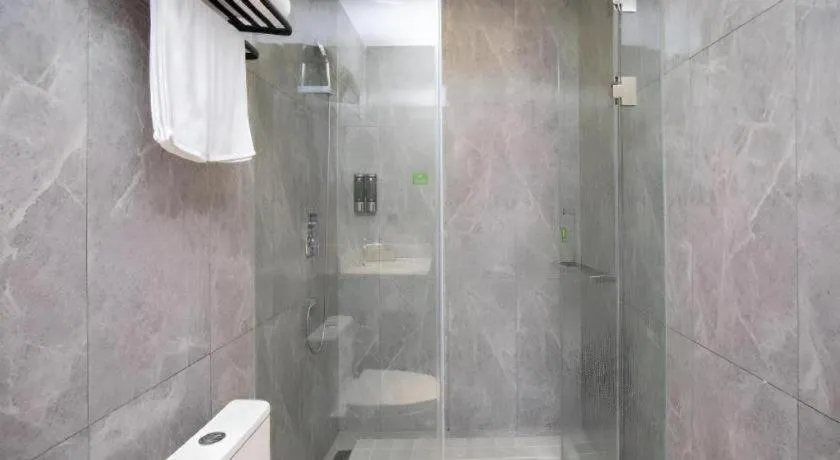 Green Tree Inn Nanjing Xinjiekou Wangfu Avenue