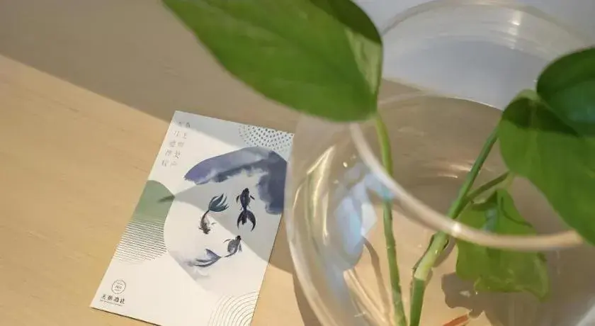 Deep Sleep Hotel Nanjing Confucius Temple Metro Station Deep Sleep Hotel Nanjing Confucius Temple Metro Station