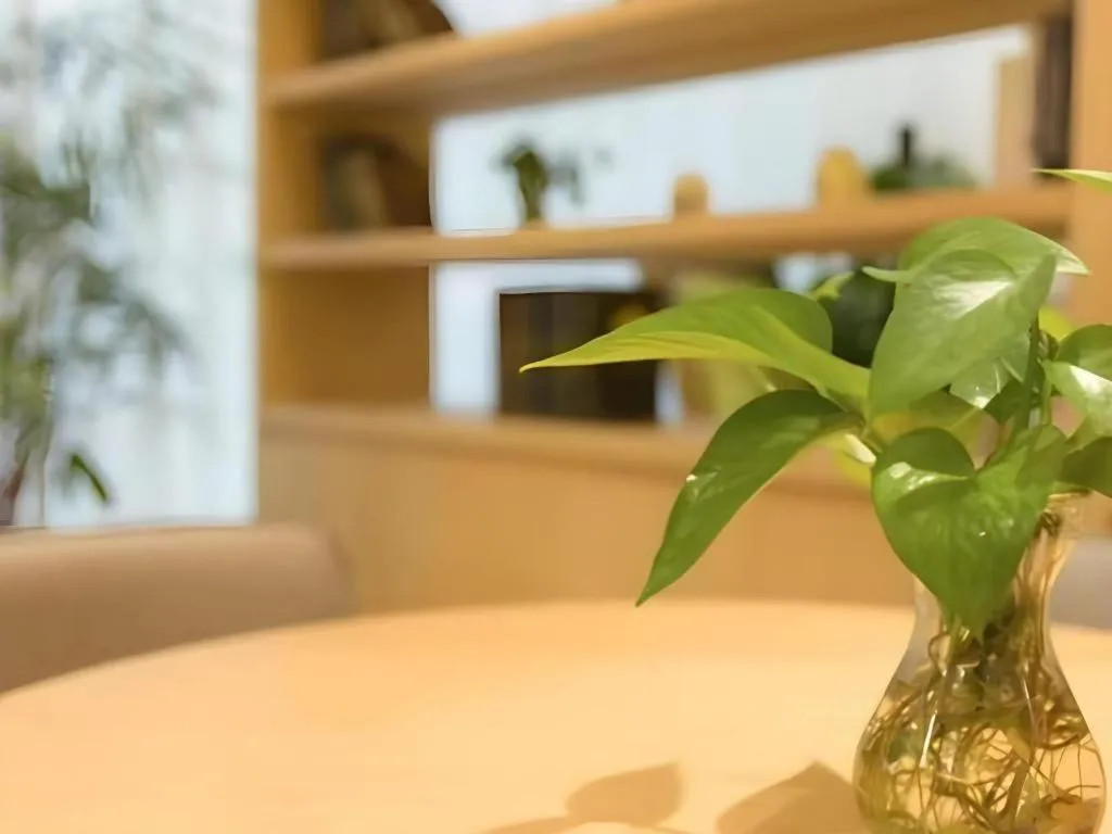 Deep Sleep Hotel Nanjing Confucius Temple Metro Station