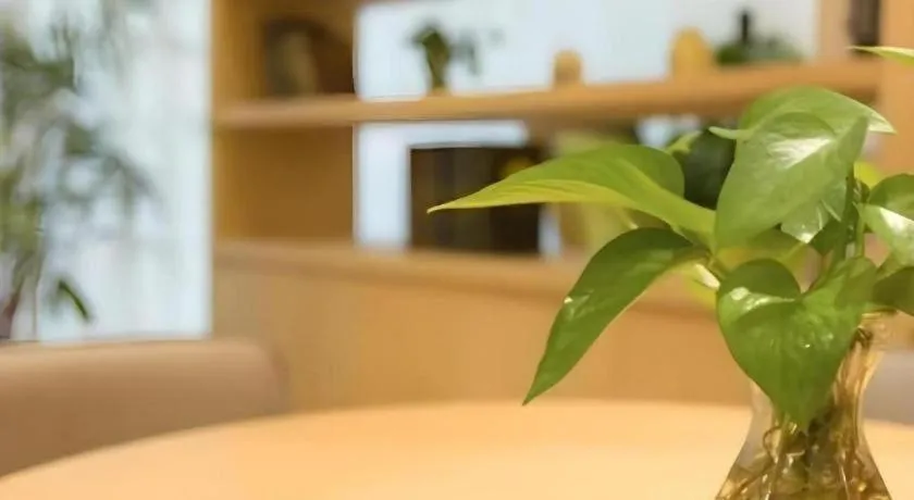 Deep Sleep Hotel Nanjing Confucius Temple Metro Station