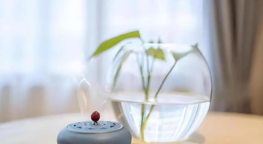 Deep Sleep Hotel Nanjing Confucius Temple Metro Station