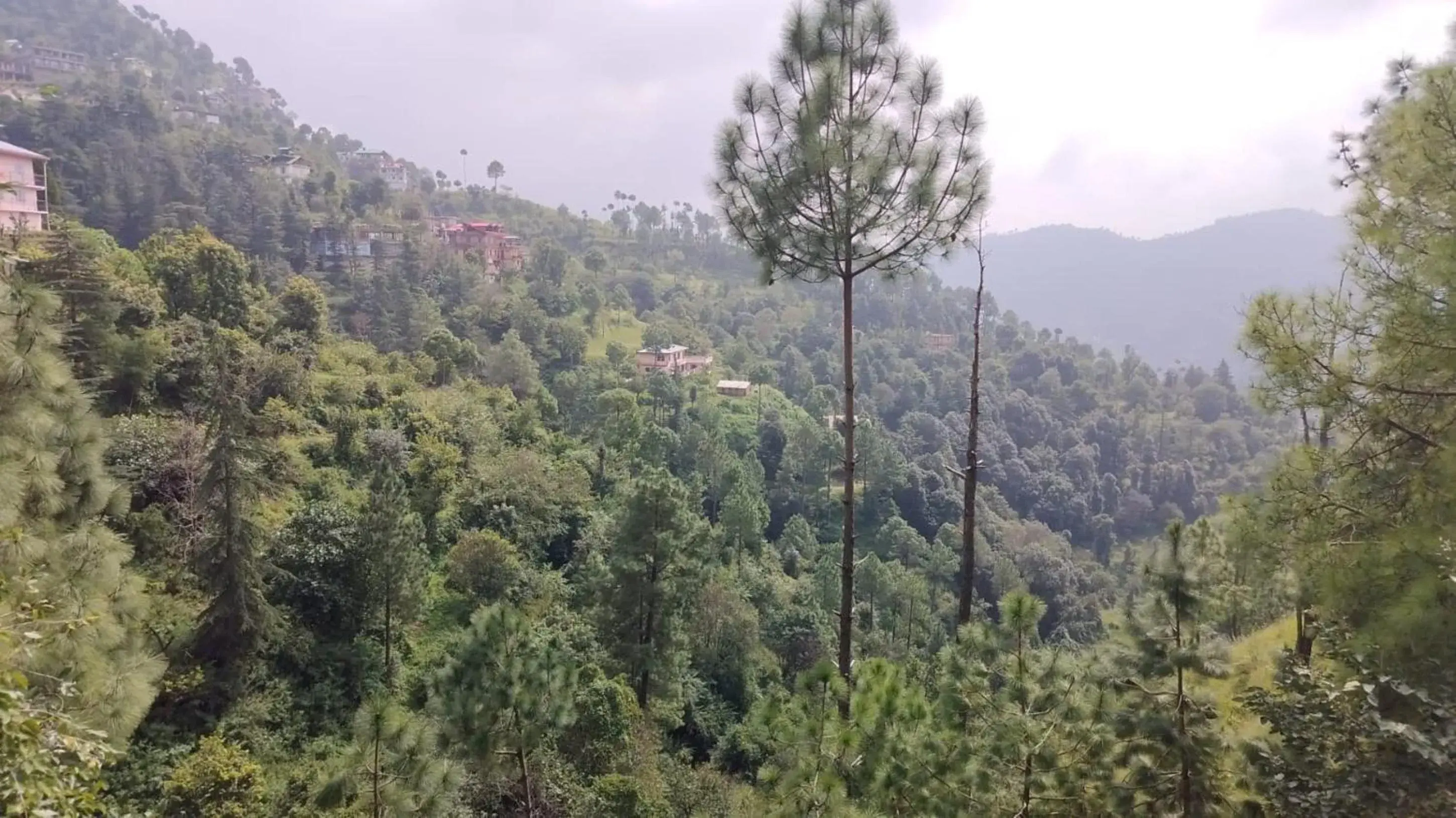 Day, Natural Landscape in Goroomgo Homestay Sukh Dham Shimla - Homestay Like Home Feeling Mountain View Day, Natural Landscape in Goroomgo Homestay Sukh Dham Shimla - Homestay Like Home Feeling Mountain View